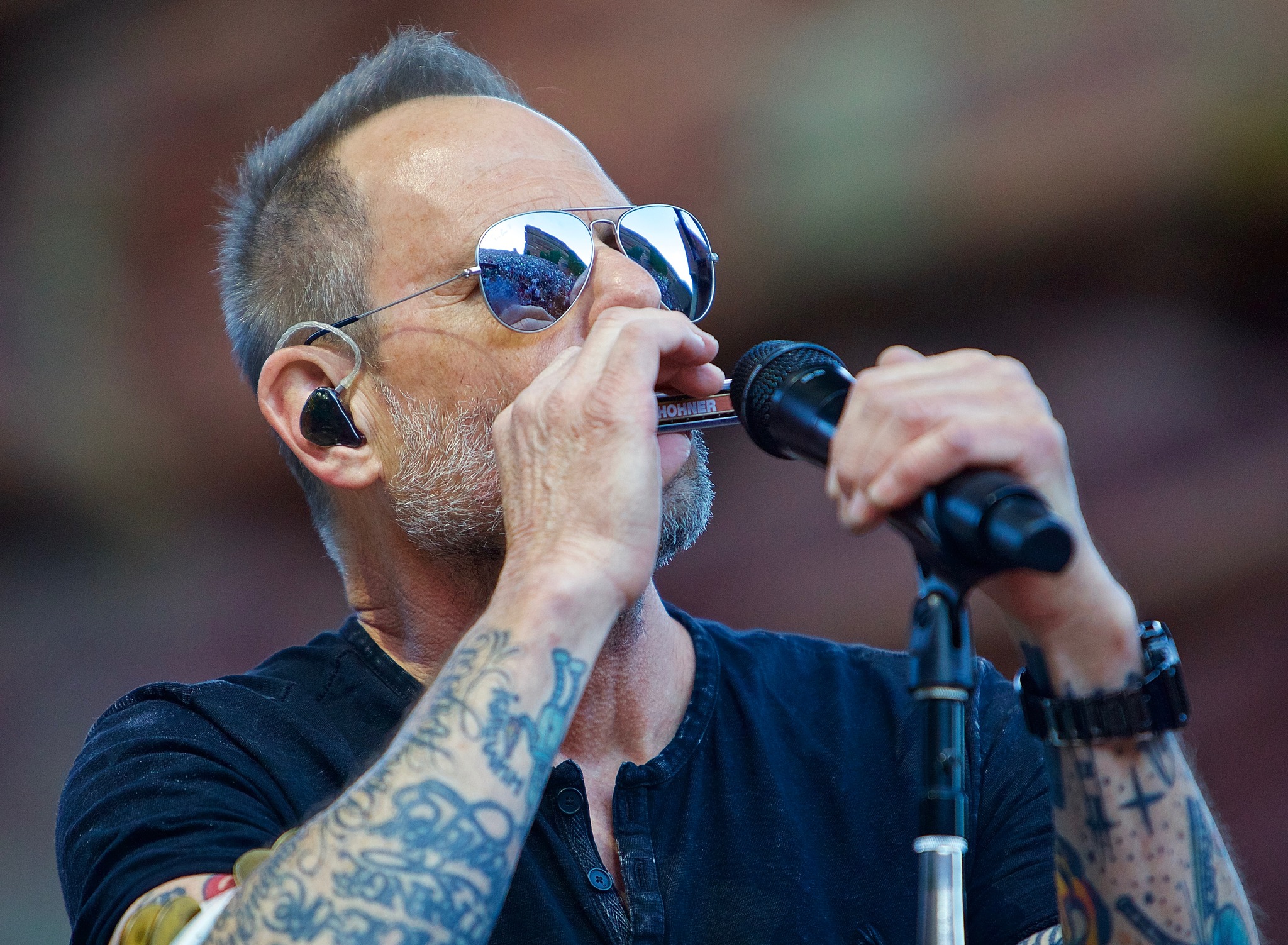 Robin Wilson | Gin Blossoms