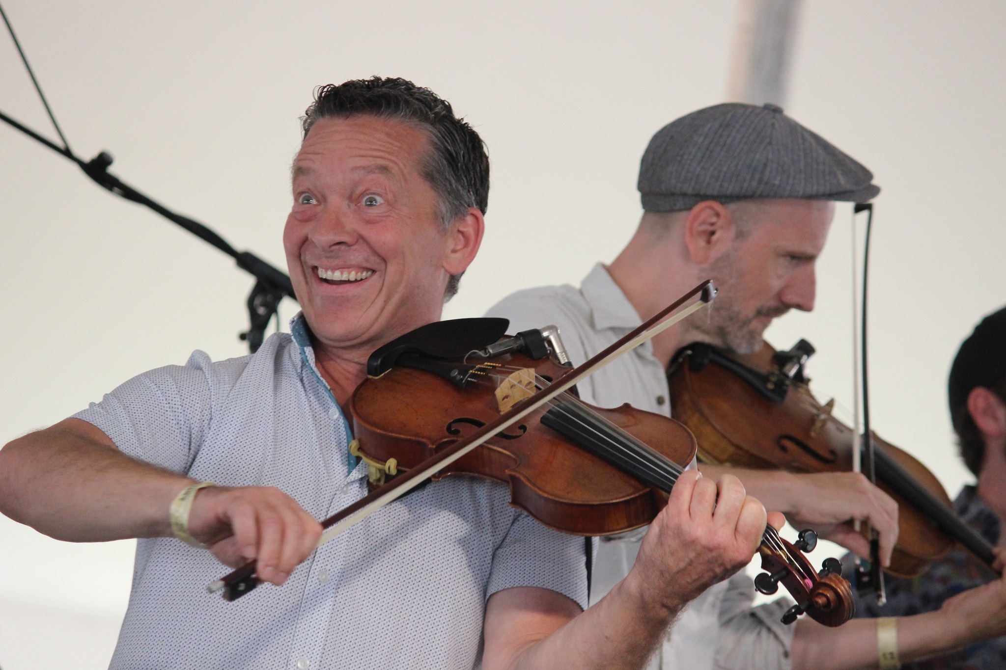 Grey Fox Bluegrass Festival