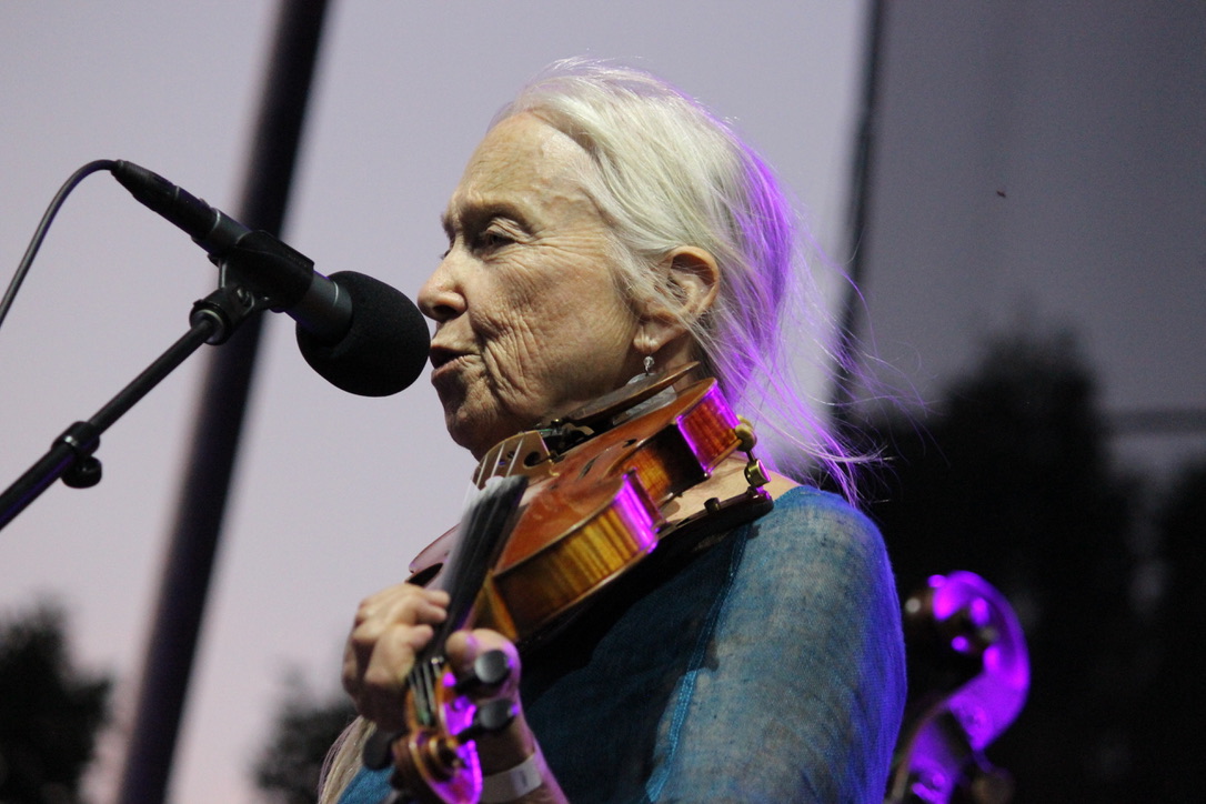 Grey Fox Bluegrass