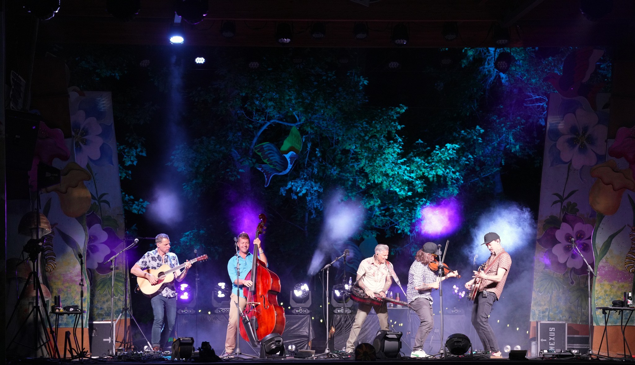 The Infamous Stringdusters