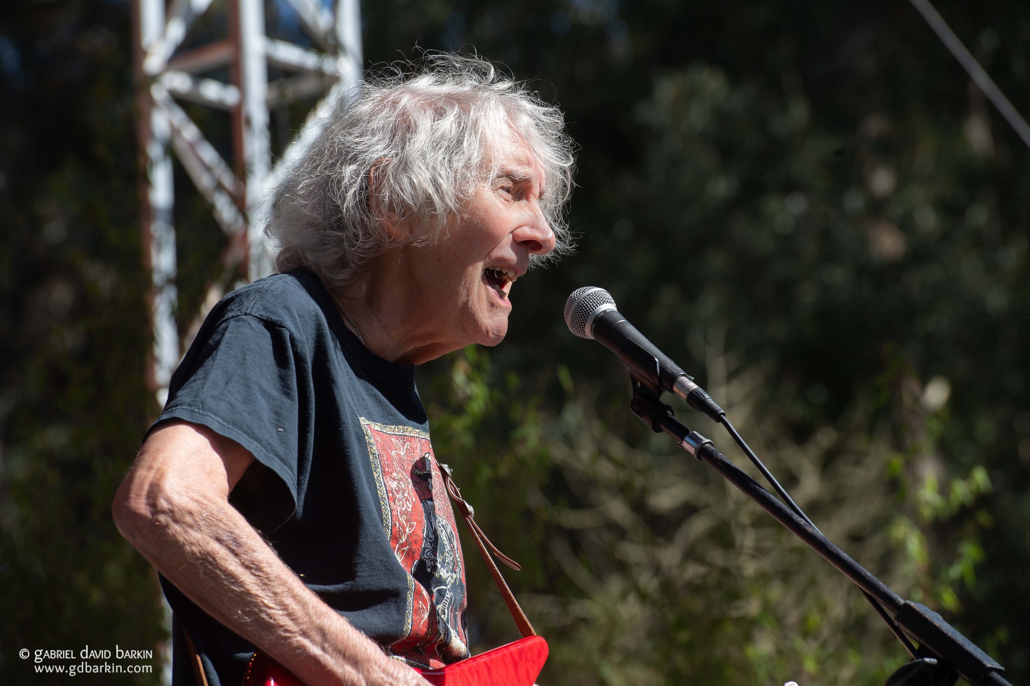 Albert Lee