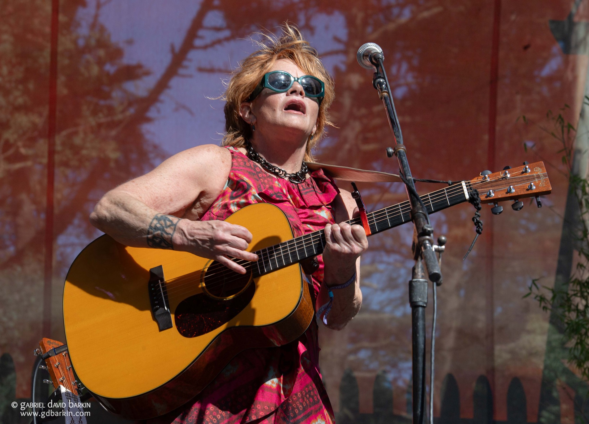 Shawn Colvin