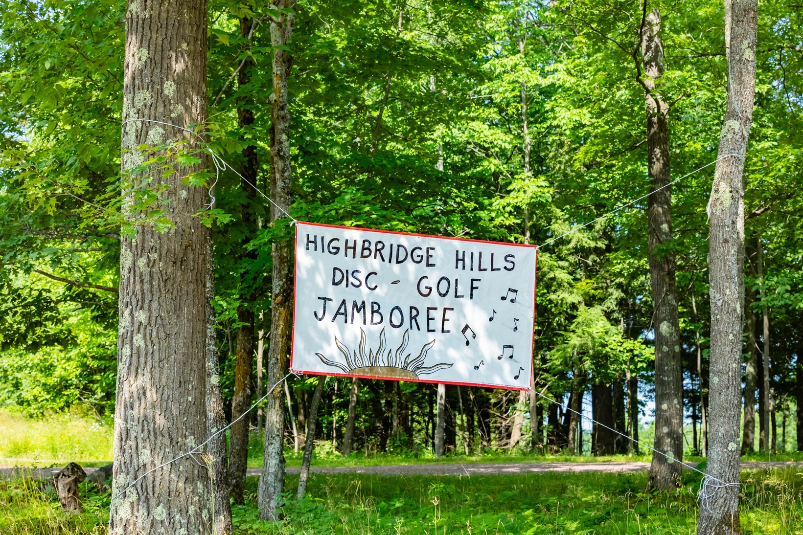 Highbridge Hills Jamboree - photo by Glasseye