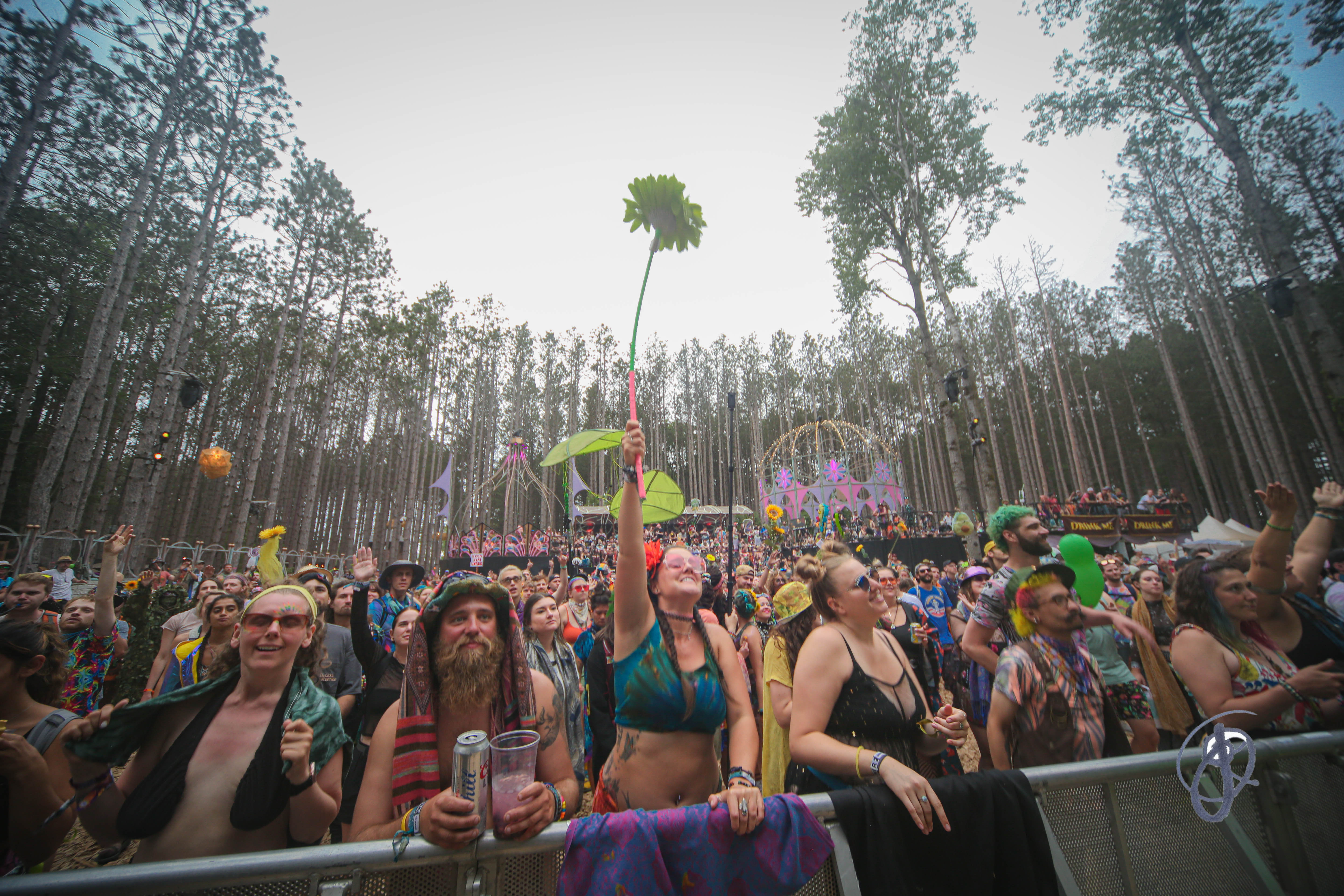 Electric Forest fans reacting to Joe Hertler and the Rainbow Seekers 2022 | Photo by June Jameson