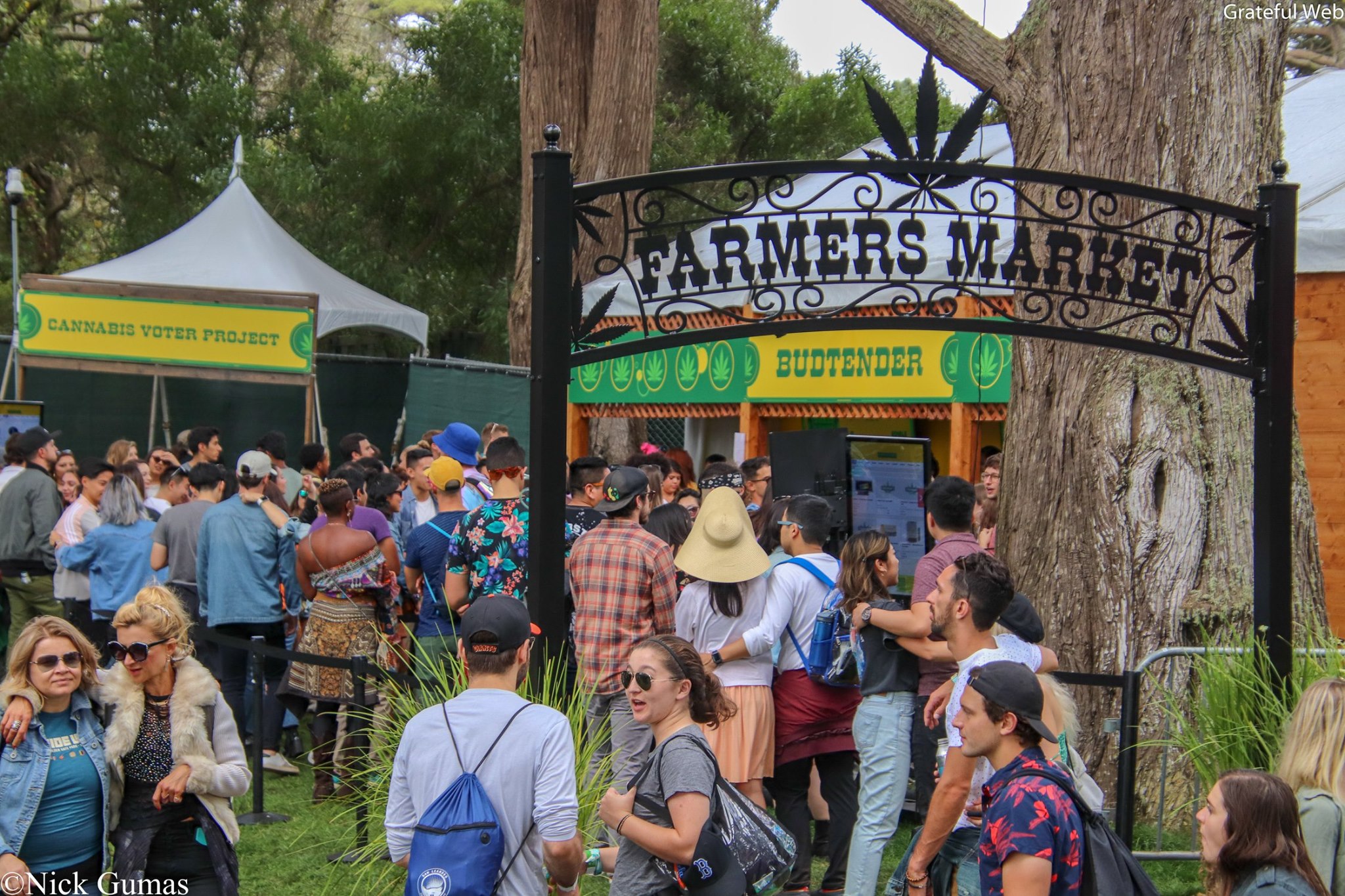 Outside Lands Music Festival