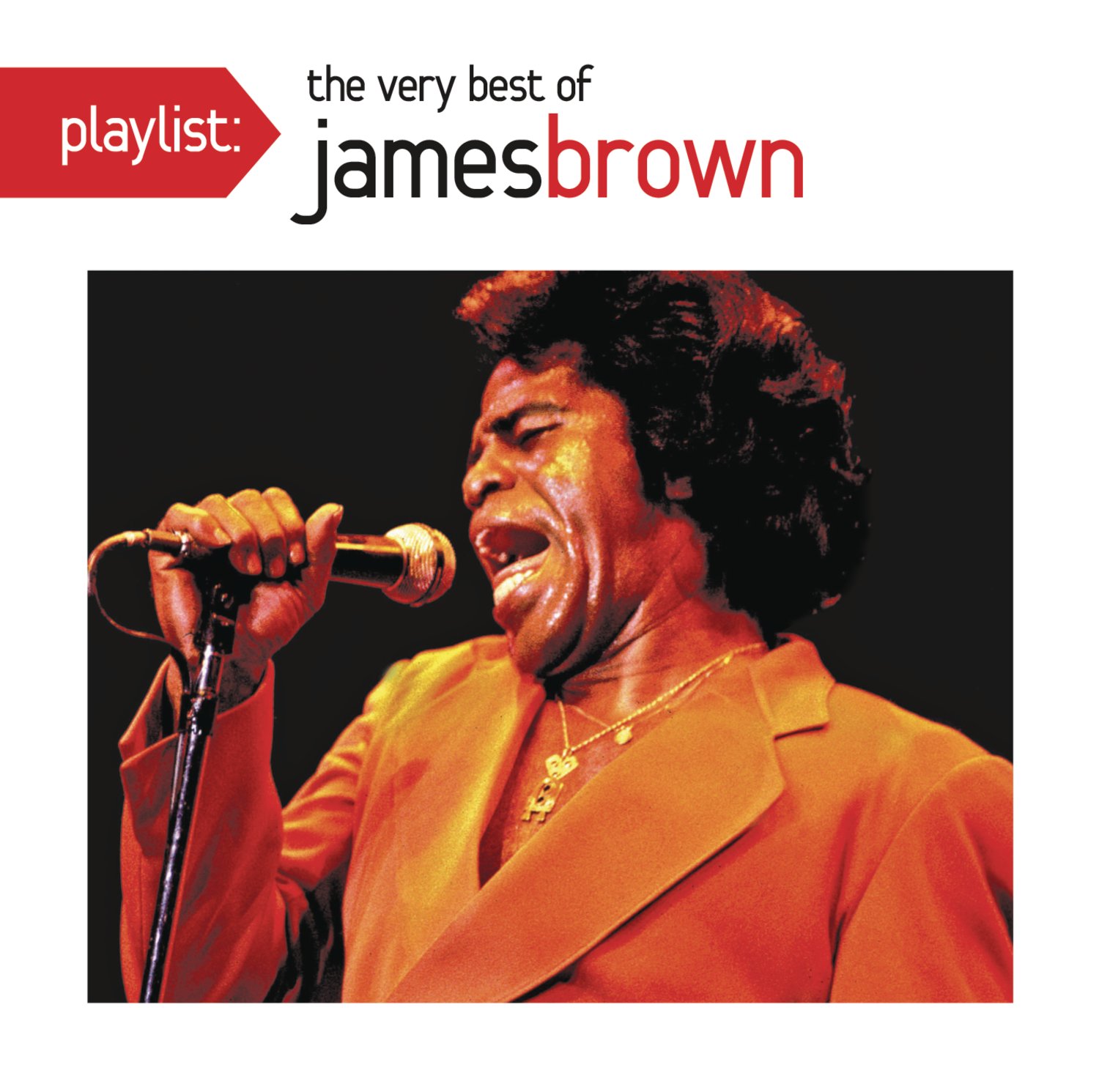 The Hardest Working Man in Show Business: A Tribute to James Brown’s Musical Genius