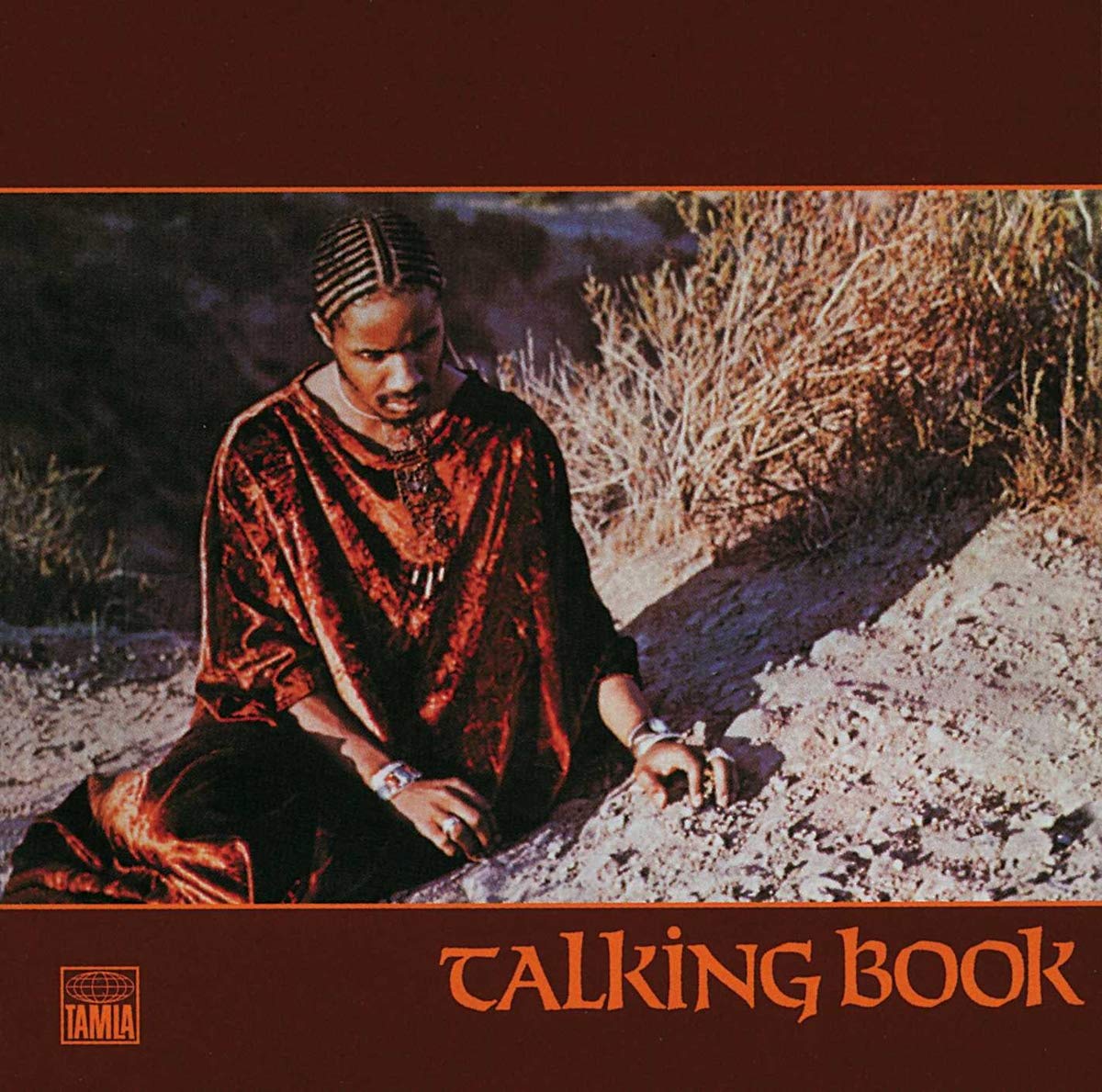 Stevie Wonder: Talking Book