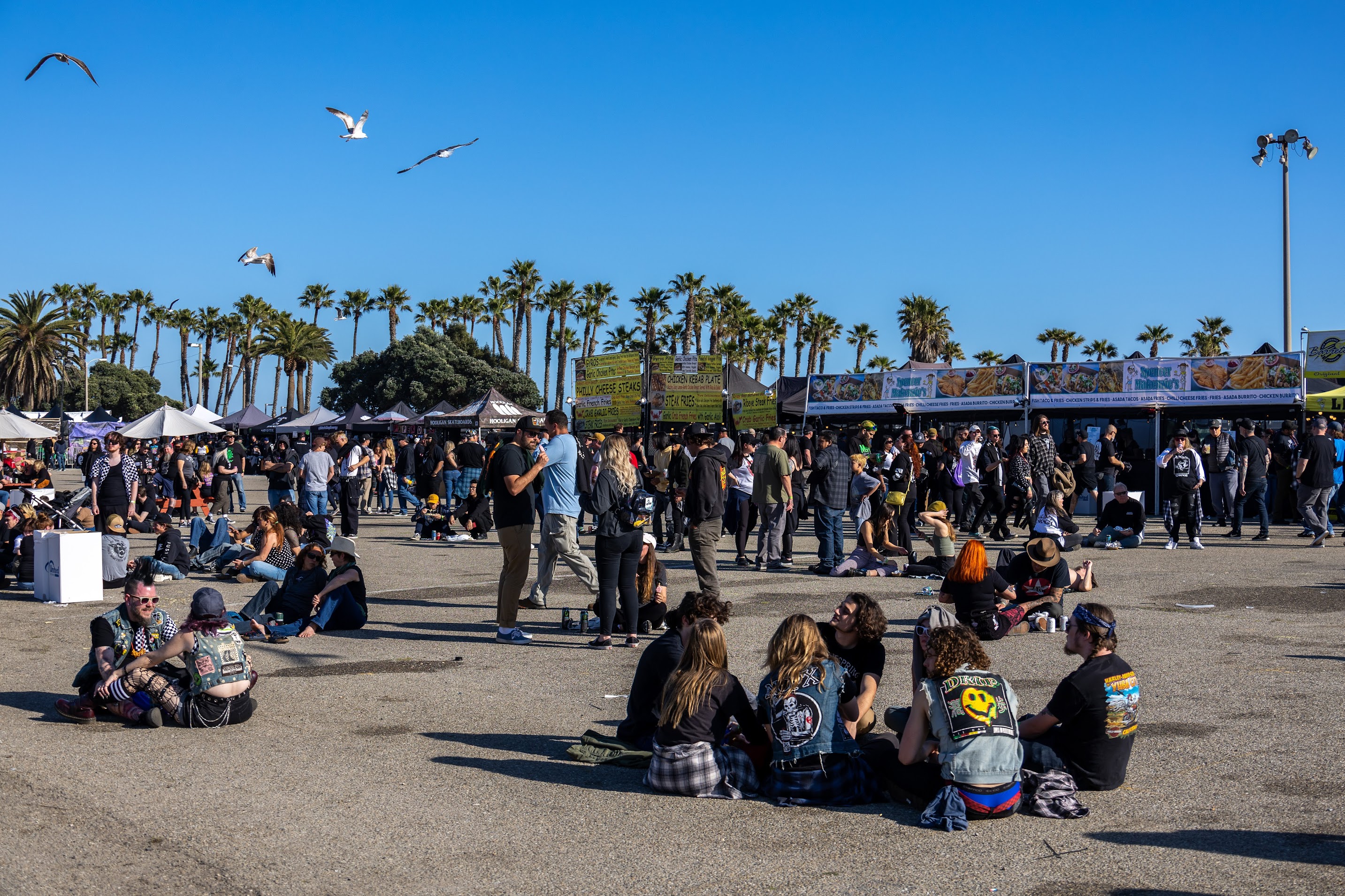 Punk in the Parl | Ventura, CA