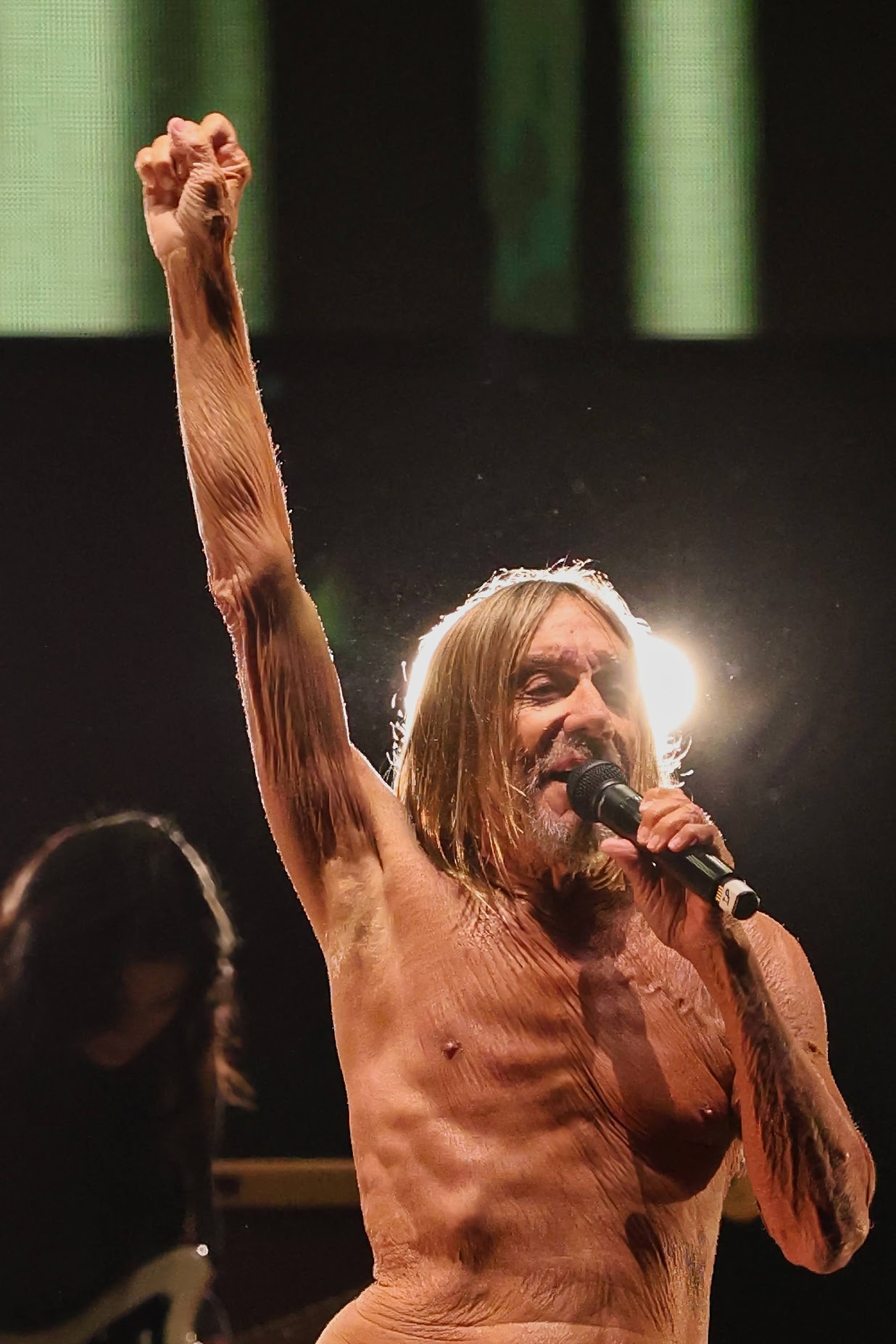 Iggy Pop | Cruel World Music Festival