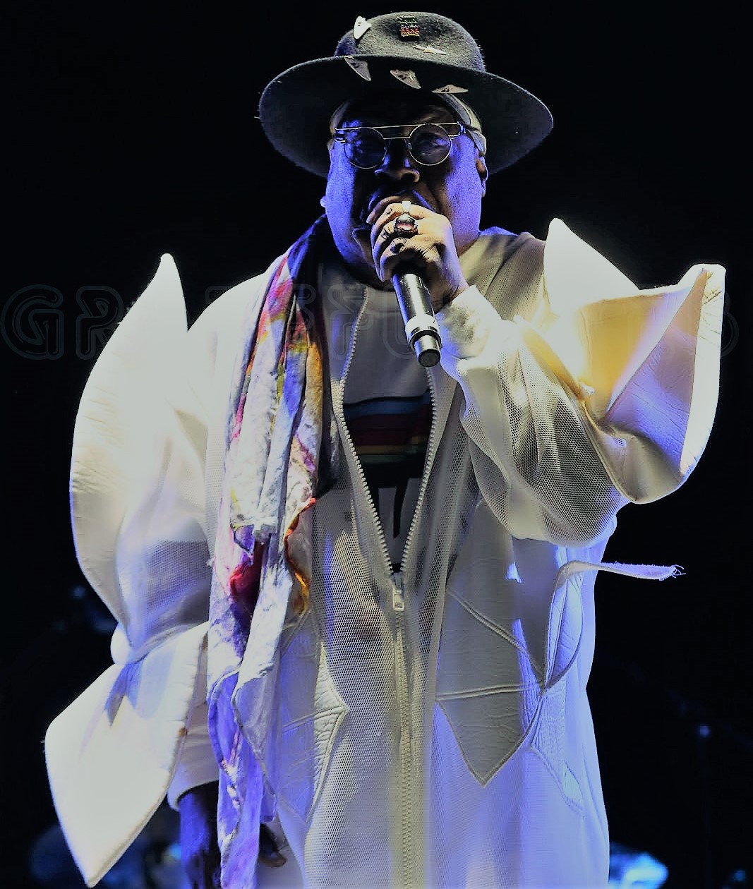 George Clinton | Lockn' Festival