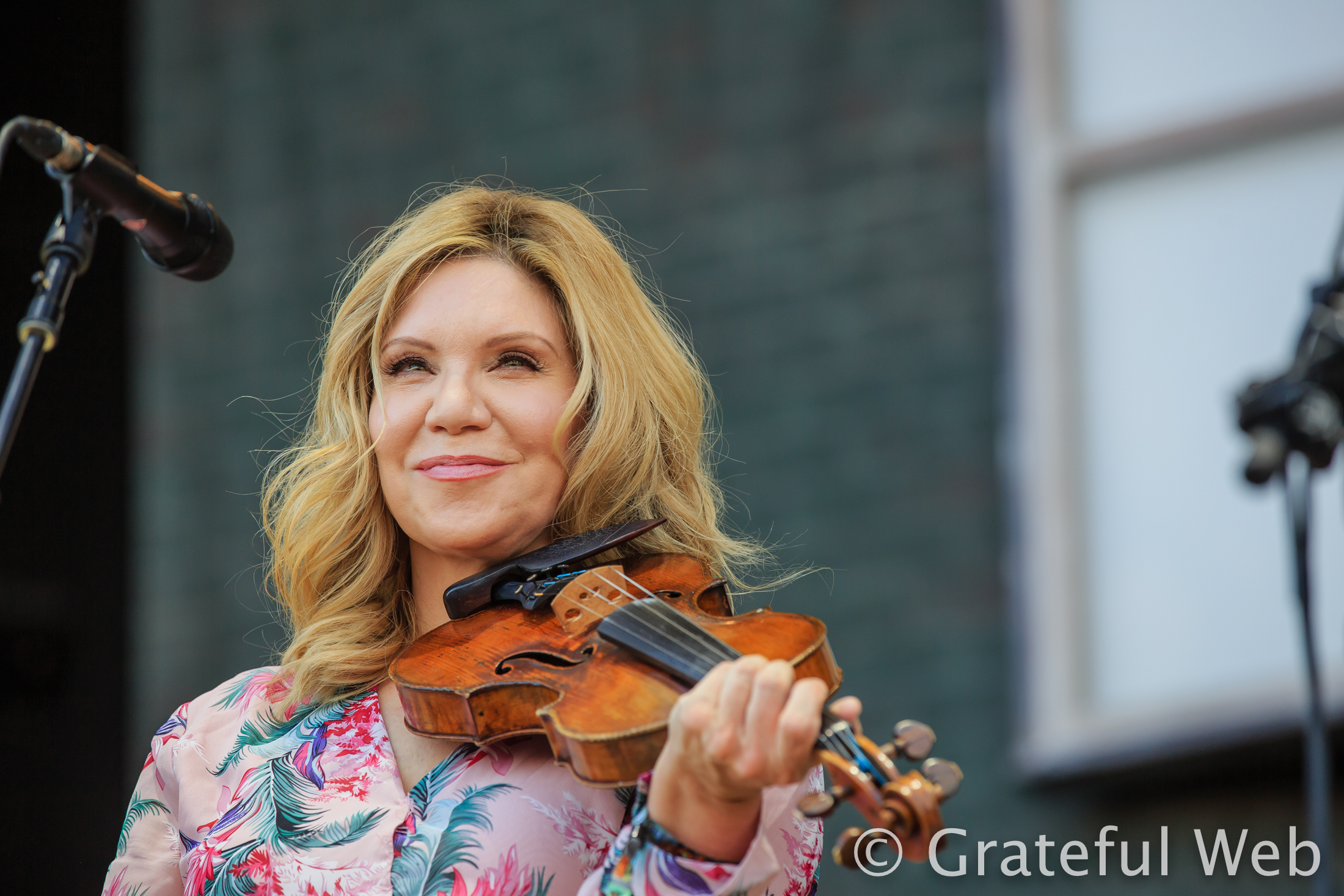 Alison Krauss