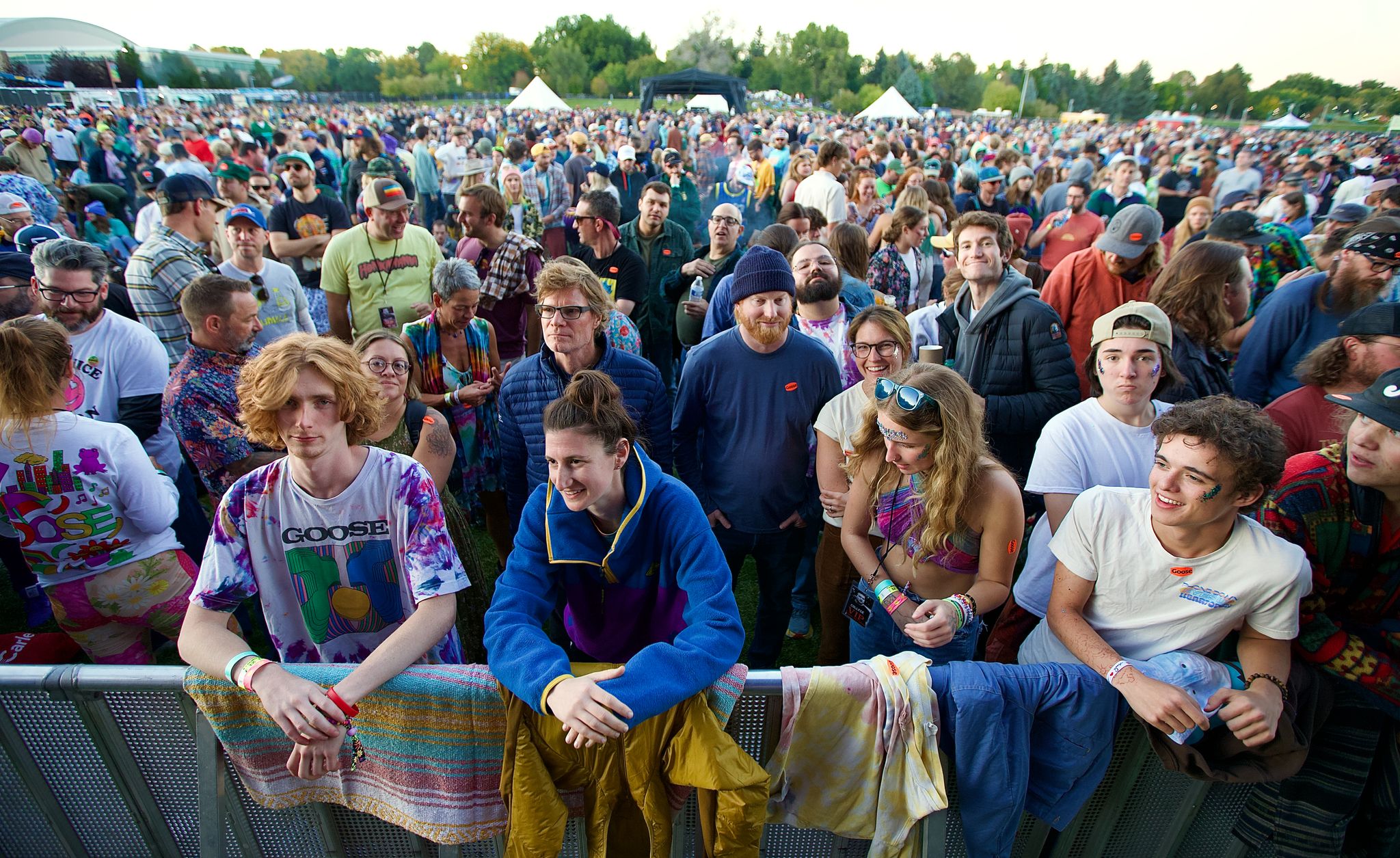 Goose crowd | Fort Collins, CO