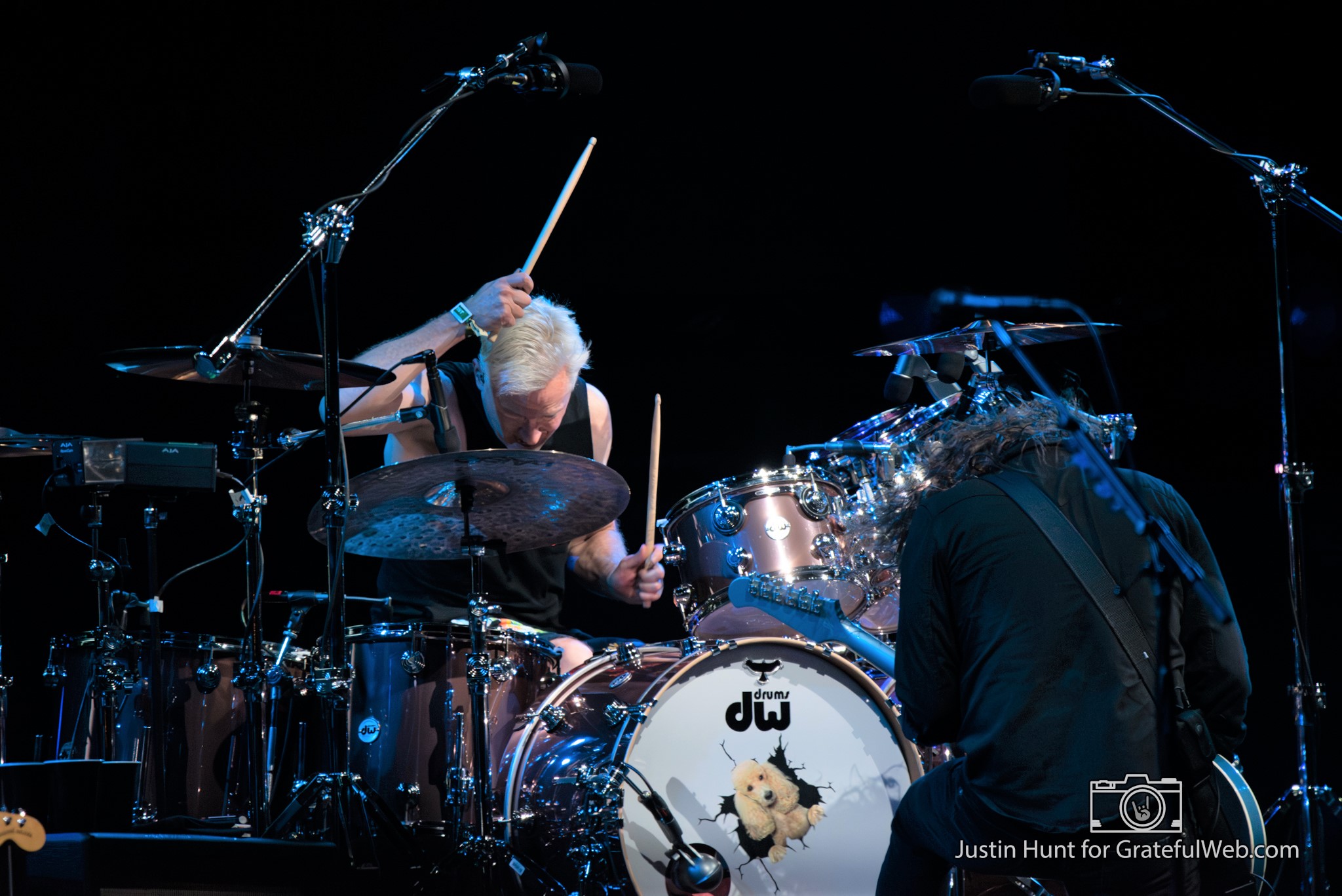 Foo Fighters | Boston Calling