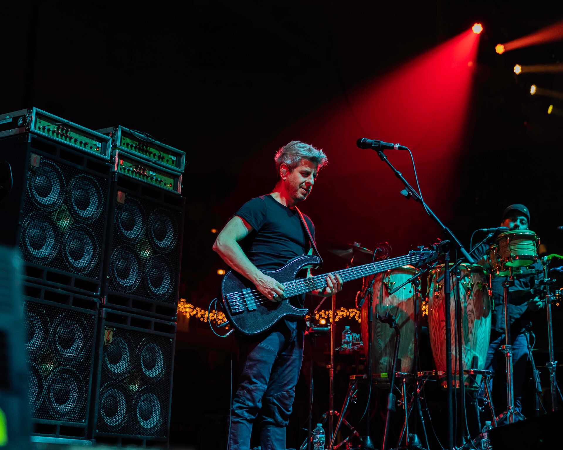 Mike Gordon - photo by Scarlet_Bucket