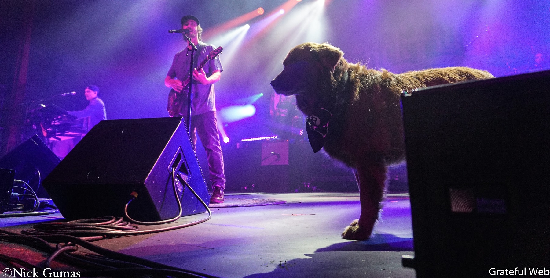 Stick Figure | Fox Theater | Oakland, CA | photos by Nick Gumas