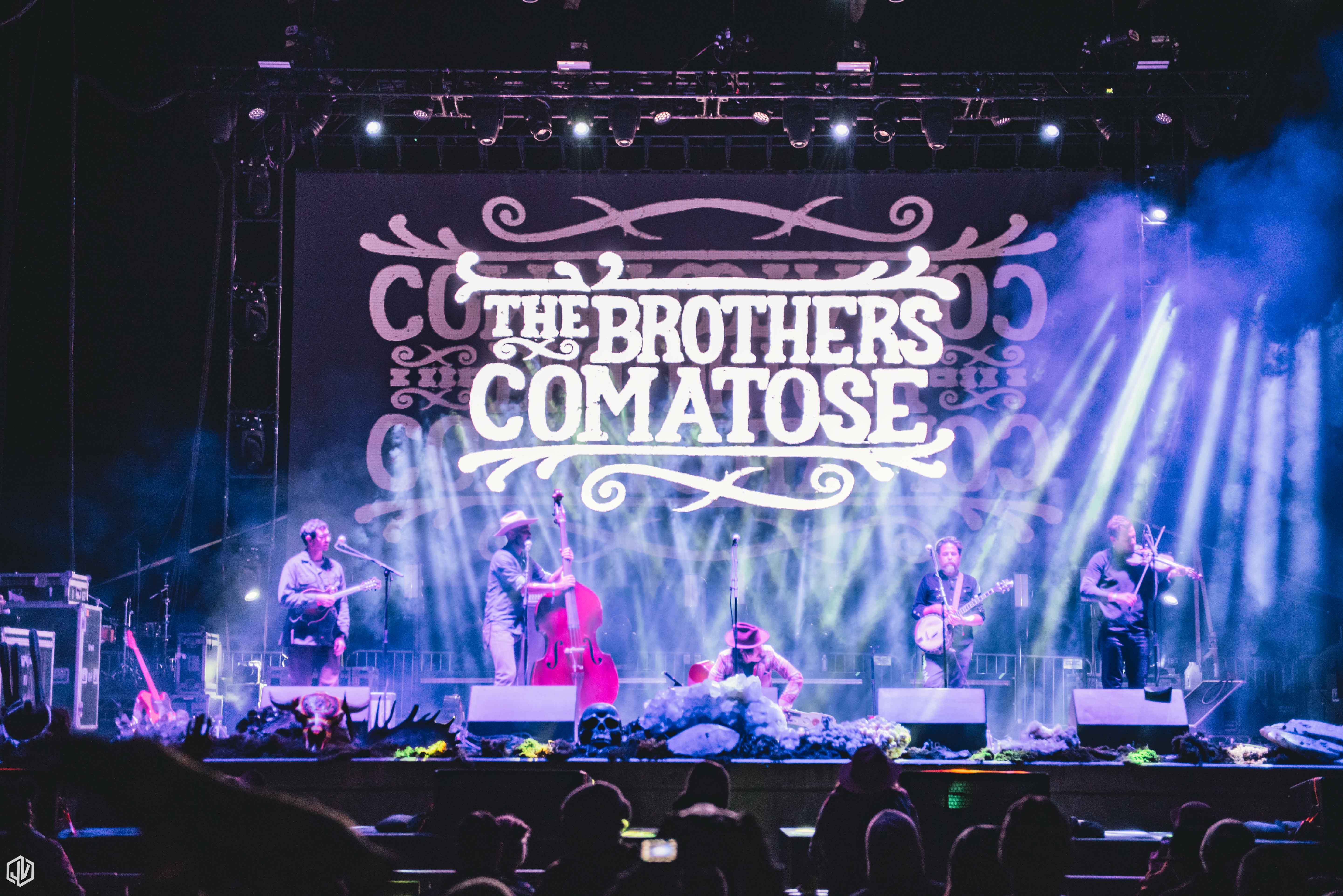 Brothers Comatose | photo by John Verwey