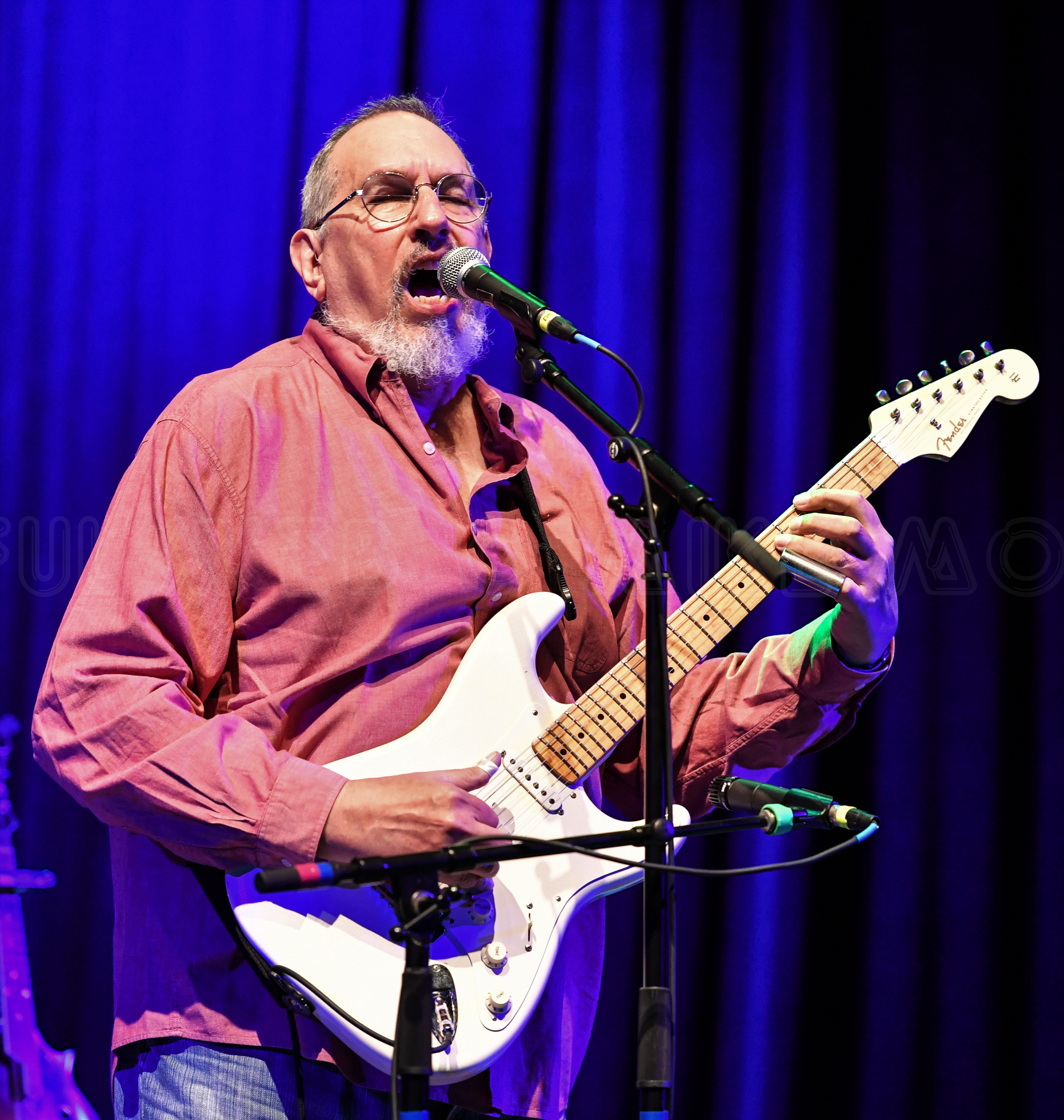 david bromberg quintet tour