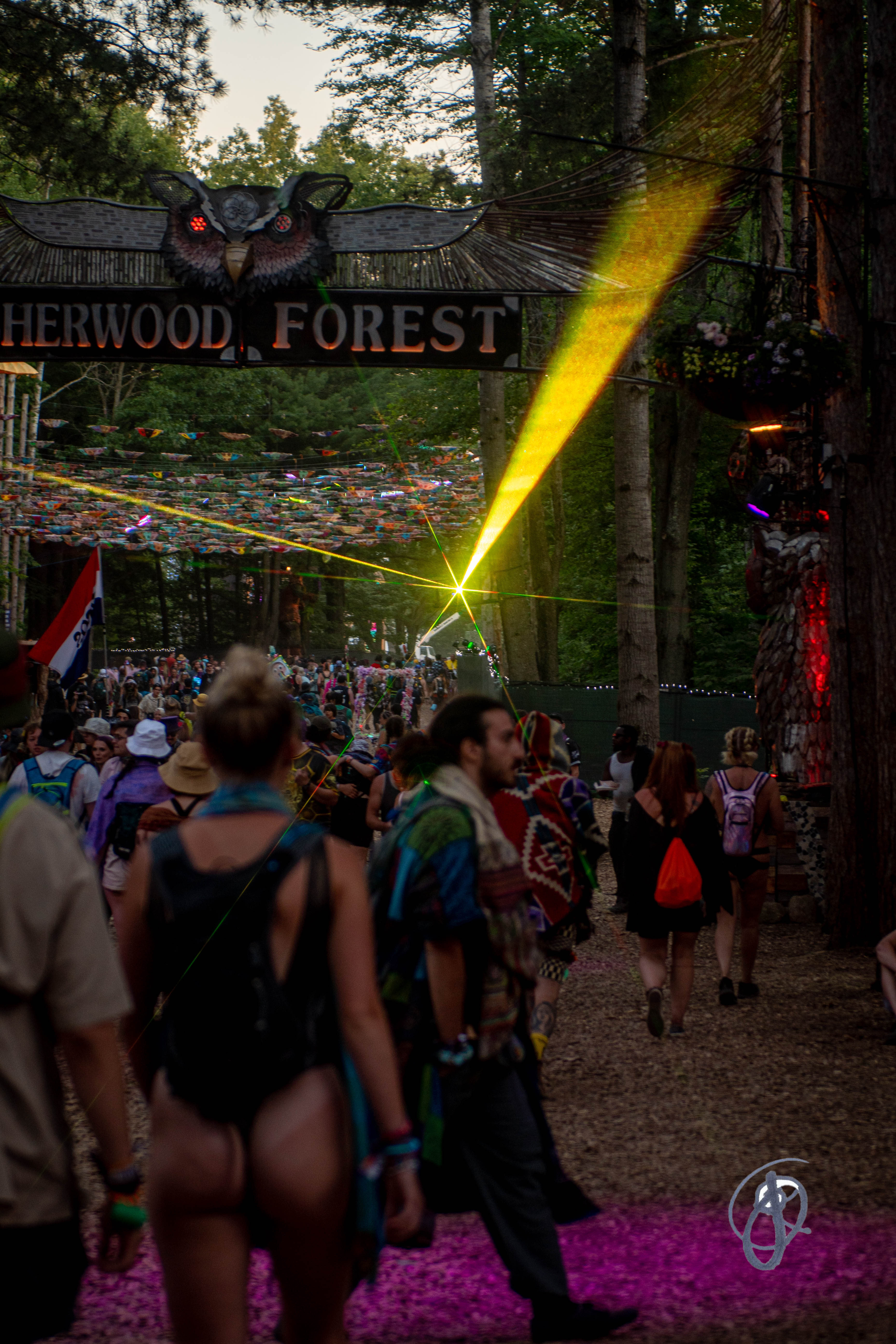 walking thru the Forest at dusk