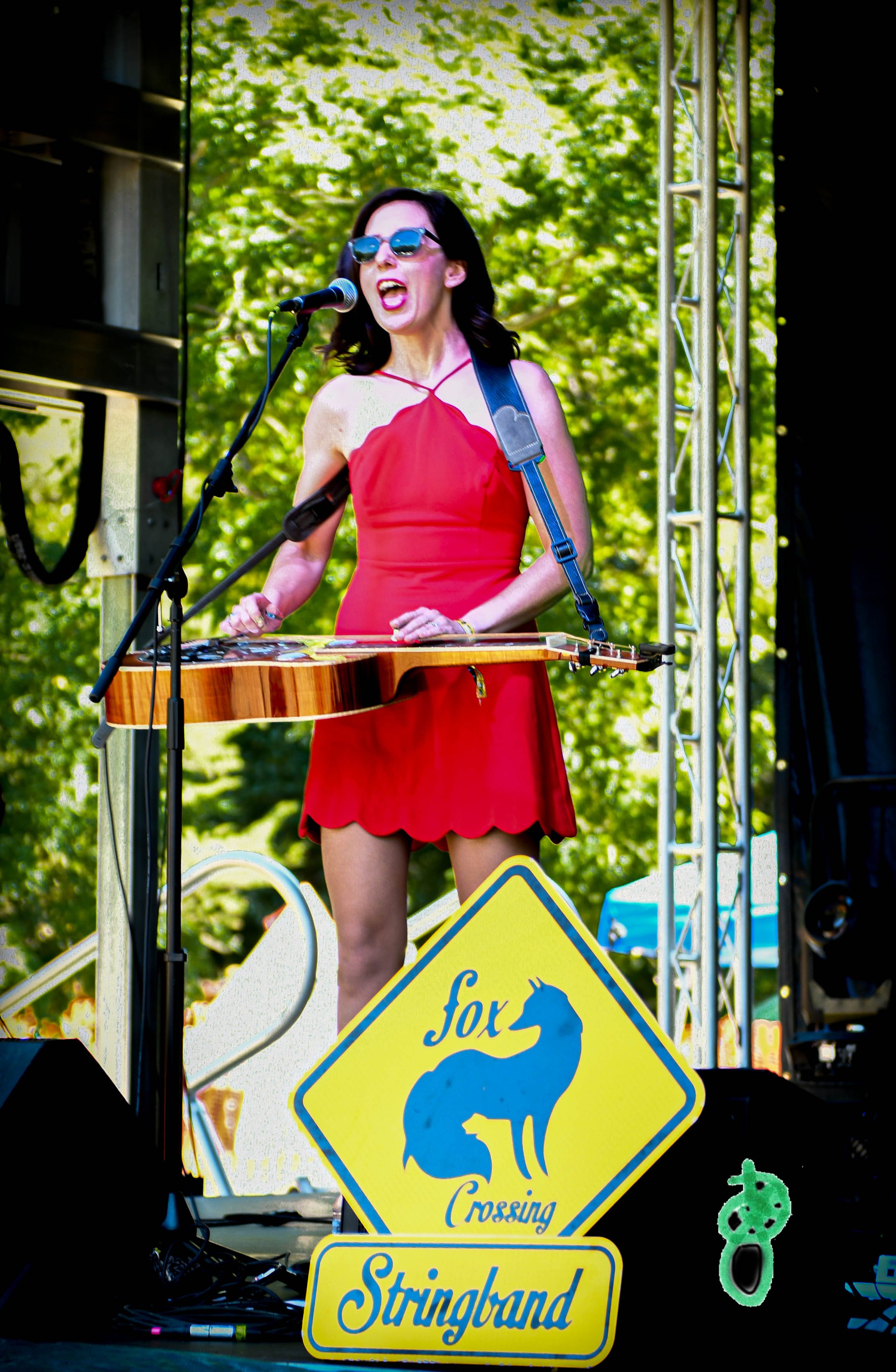 Cassie Brooks of Fox Crossing String Band