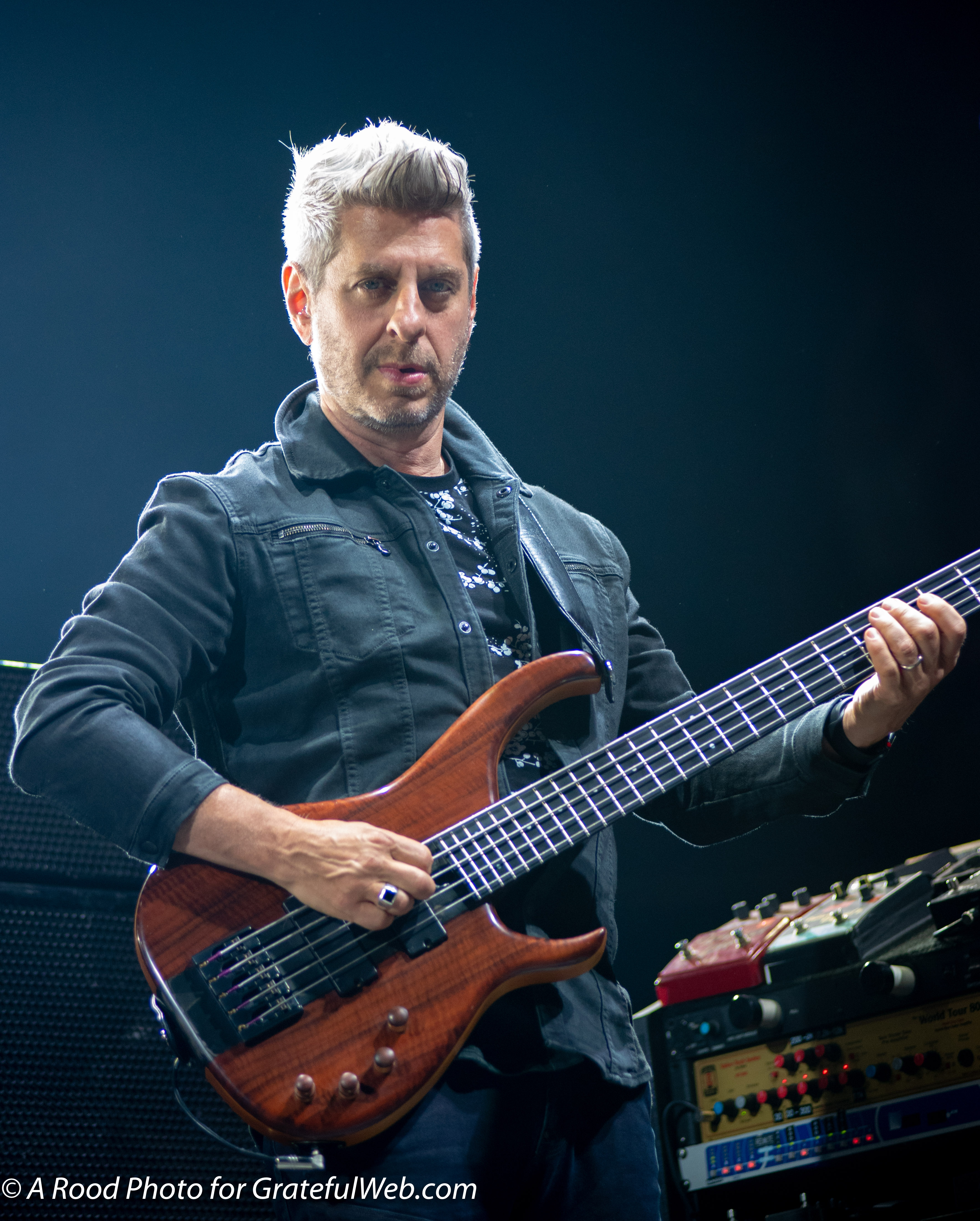 Mike Gordon - photo by Steven Rood