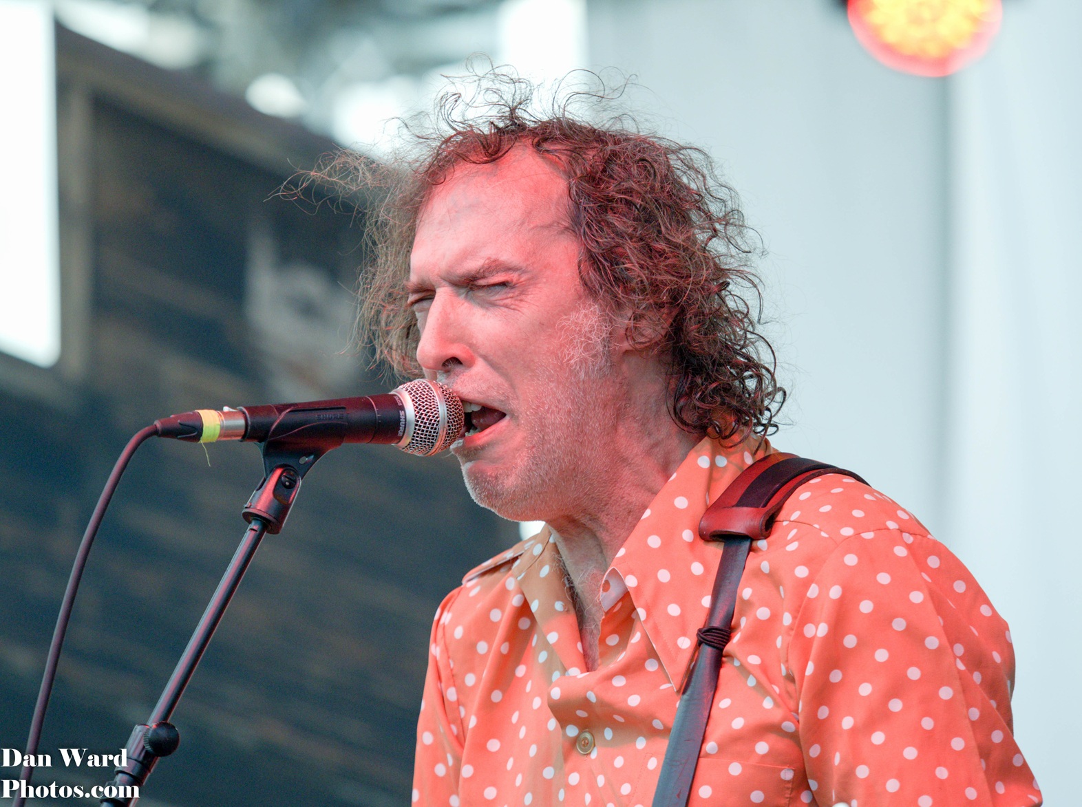 Travis Goode | The Sadies