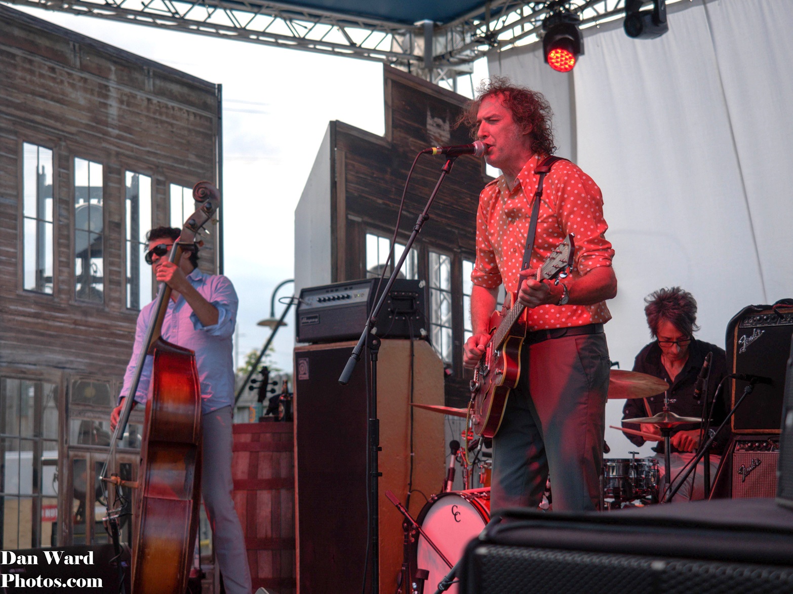 The Sadies