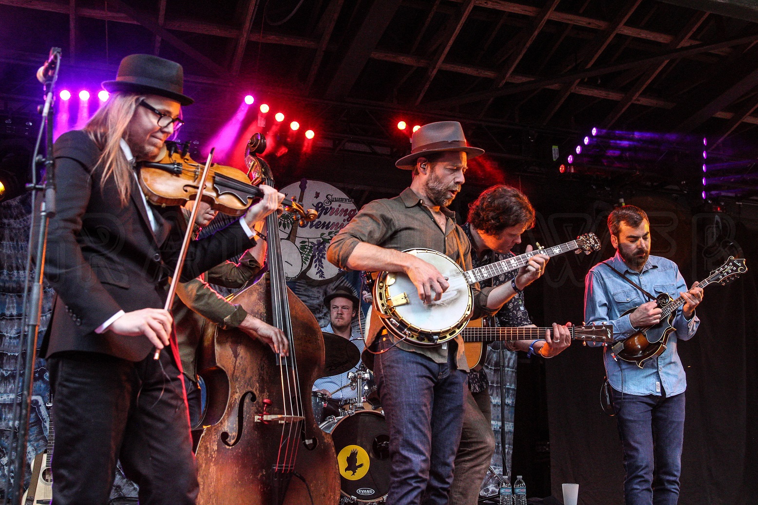 The Steep Canyon Rangers | Live Oak, FL