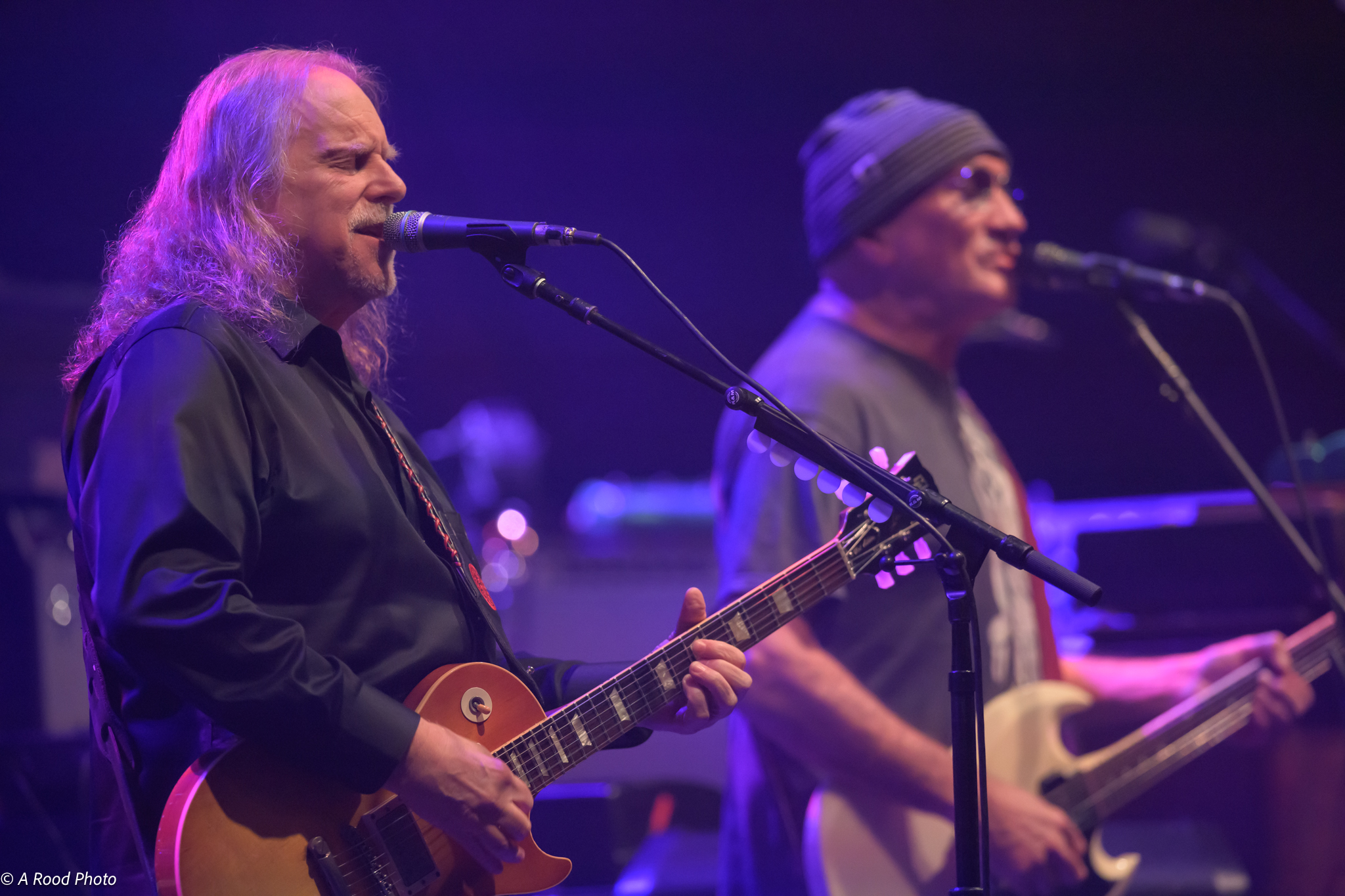 Gov't Mule | Wiltern Theatre