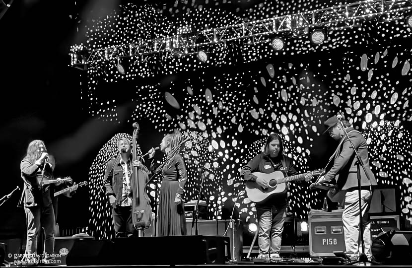 Greensky Bluegrass at High Sierra - photo by Gabriel David Barkin