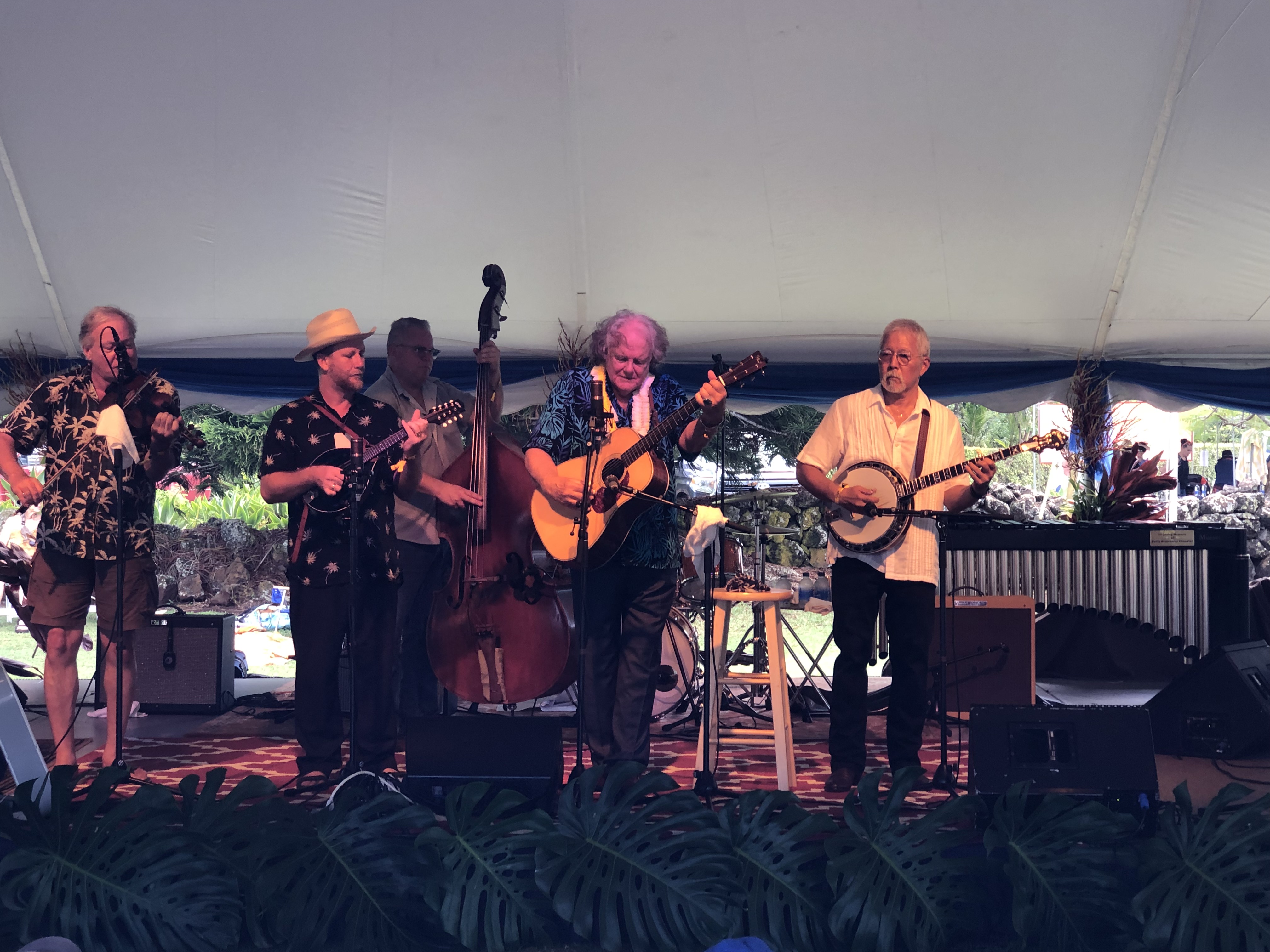 Peter Rowan and his band in Hawaii