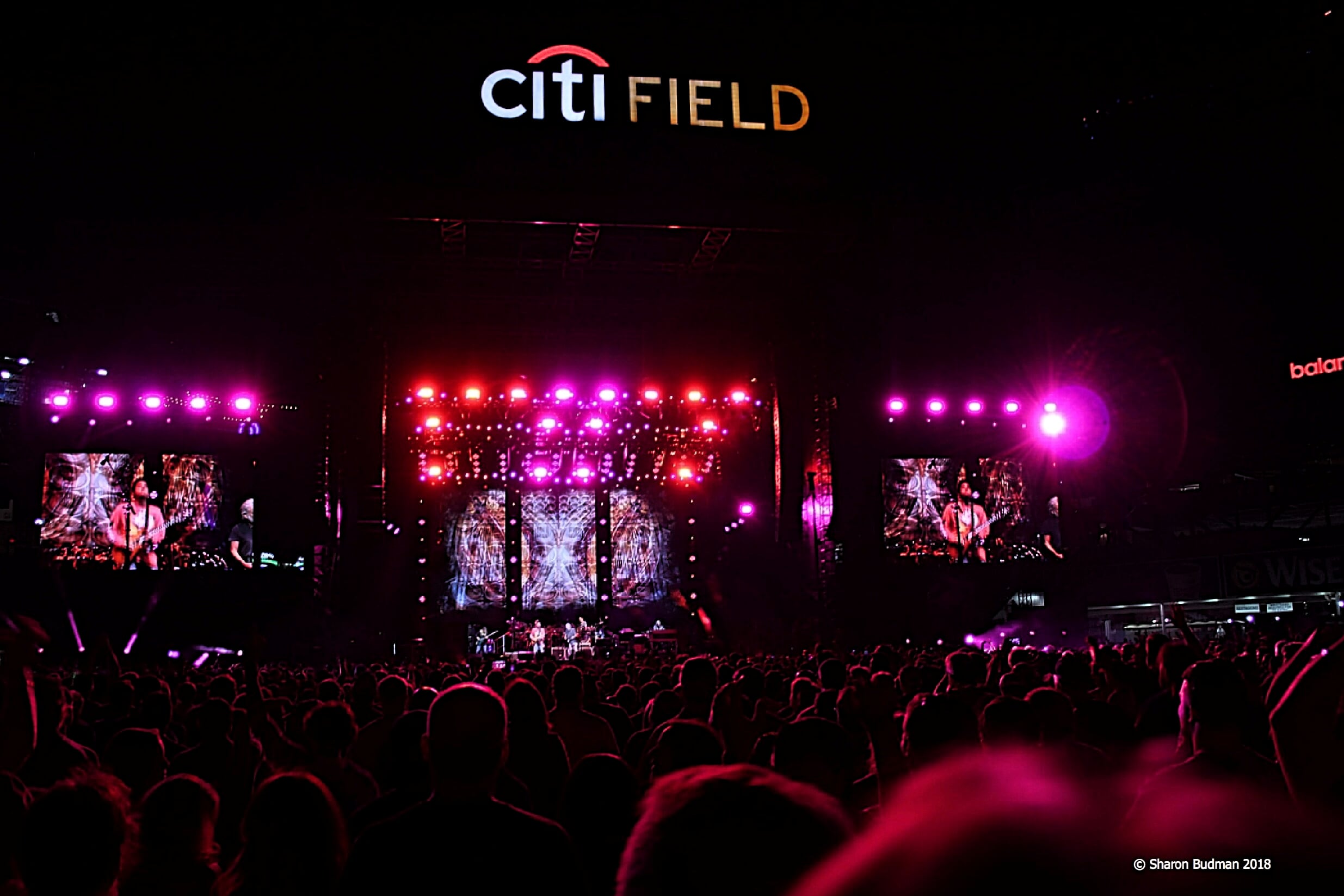 Dead and Company | Queens, New York