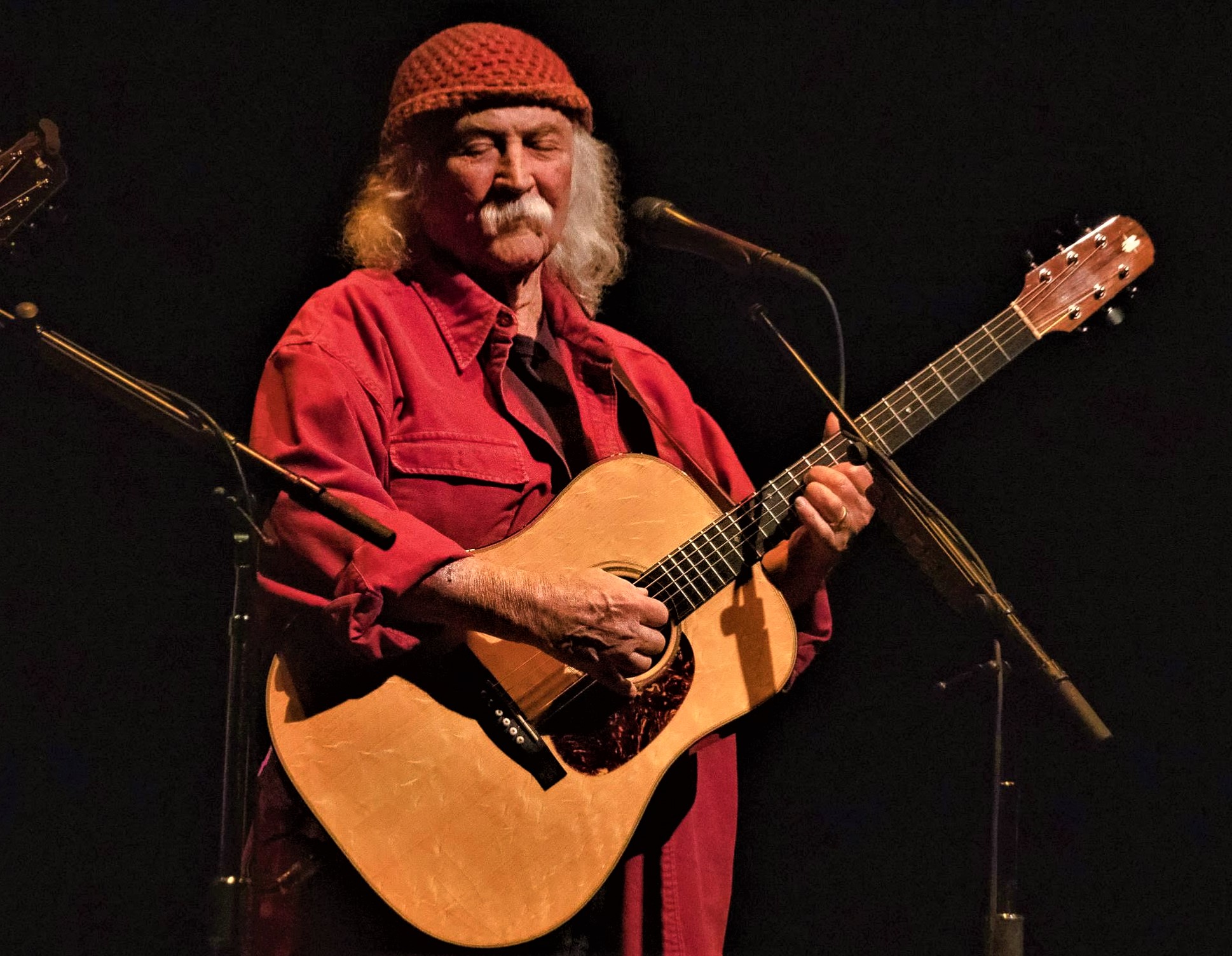 David Crosby - photo by Paul Mann