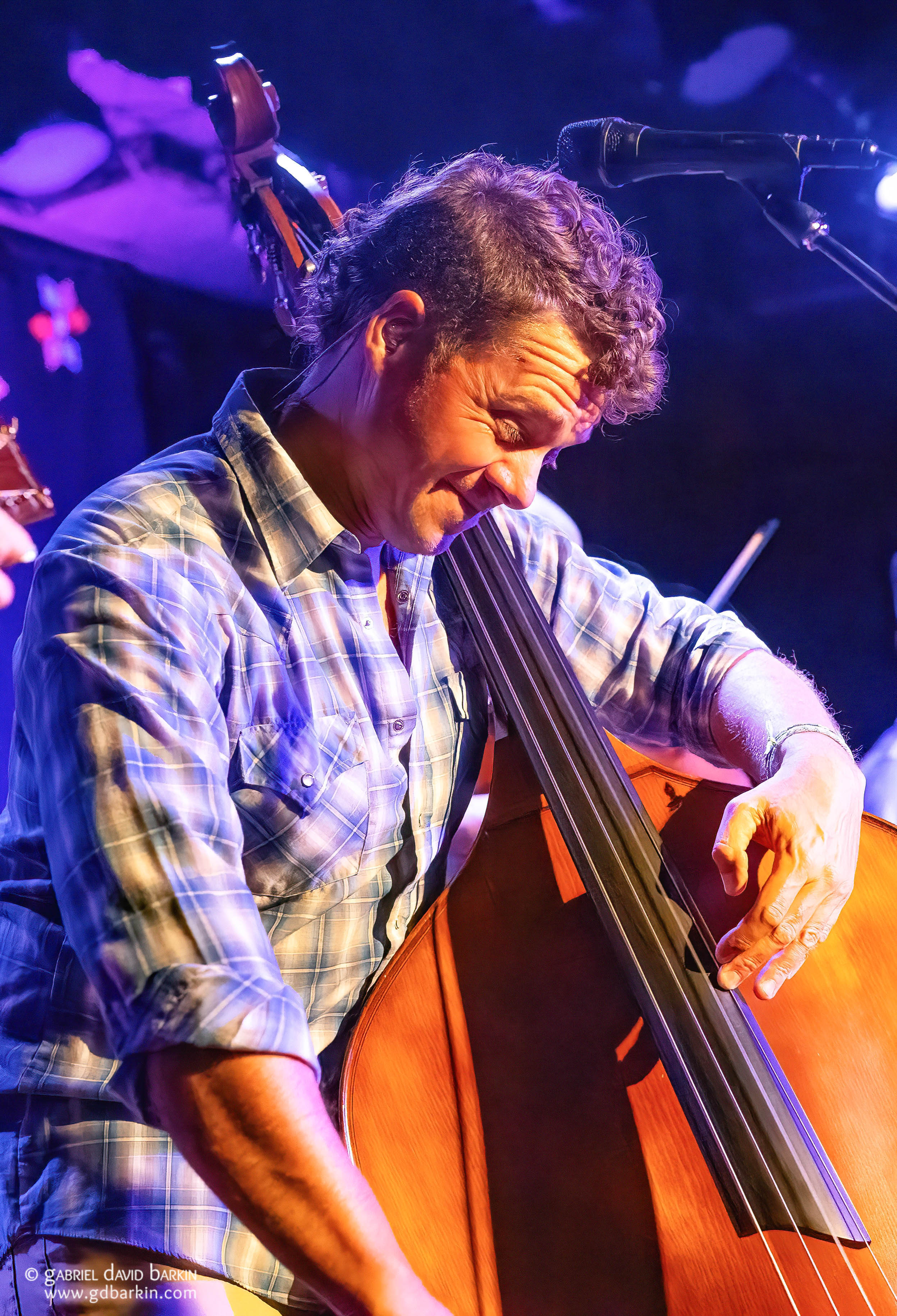 Travis Book | Infamous Stringdusters