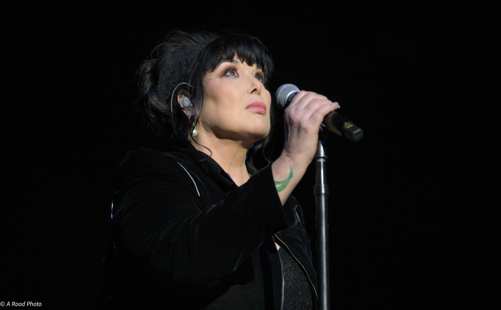 Ann Wilson | Jim Irsay Collection Exhibit & Concert