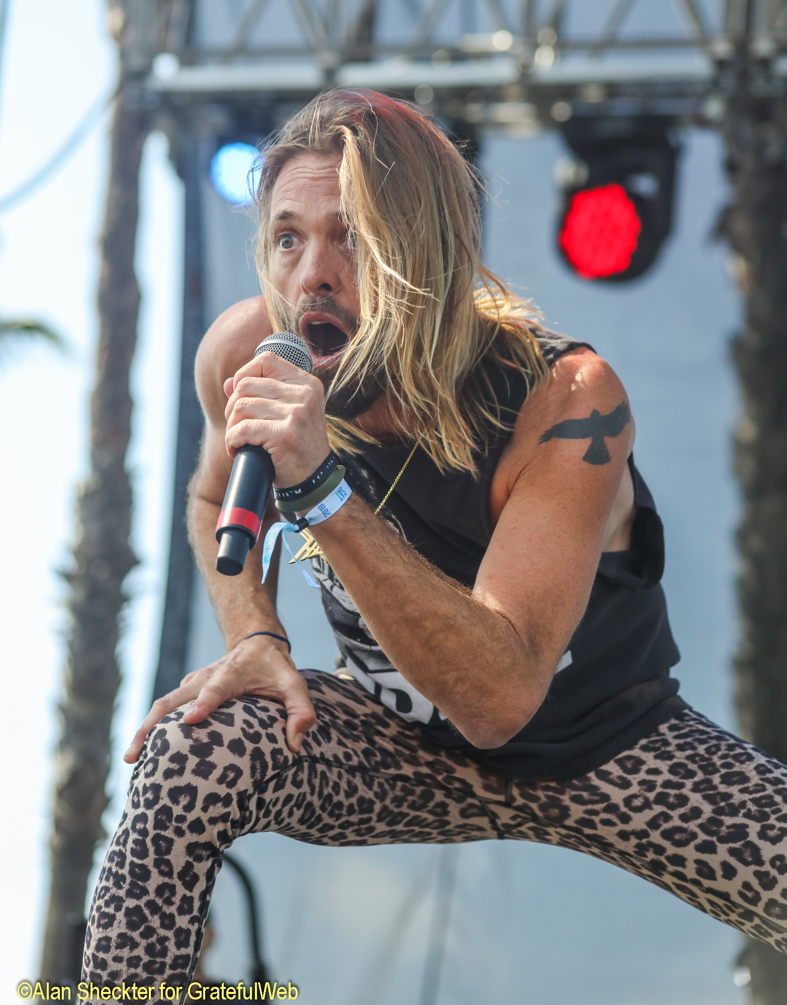 Taylor Hawkins | Chevy Metal