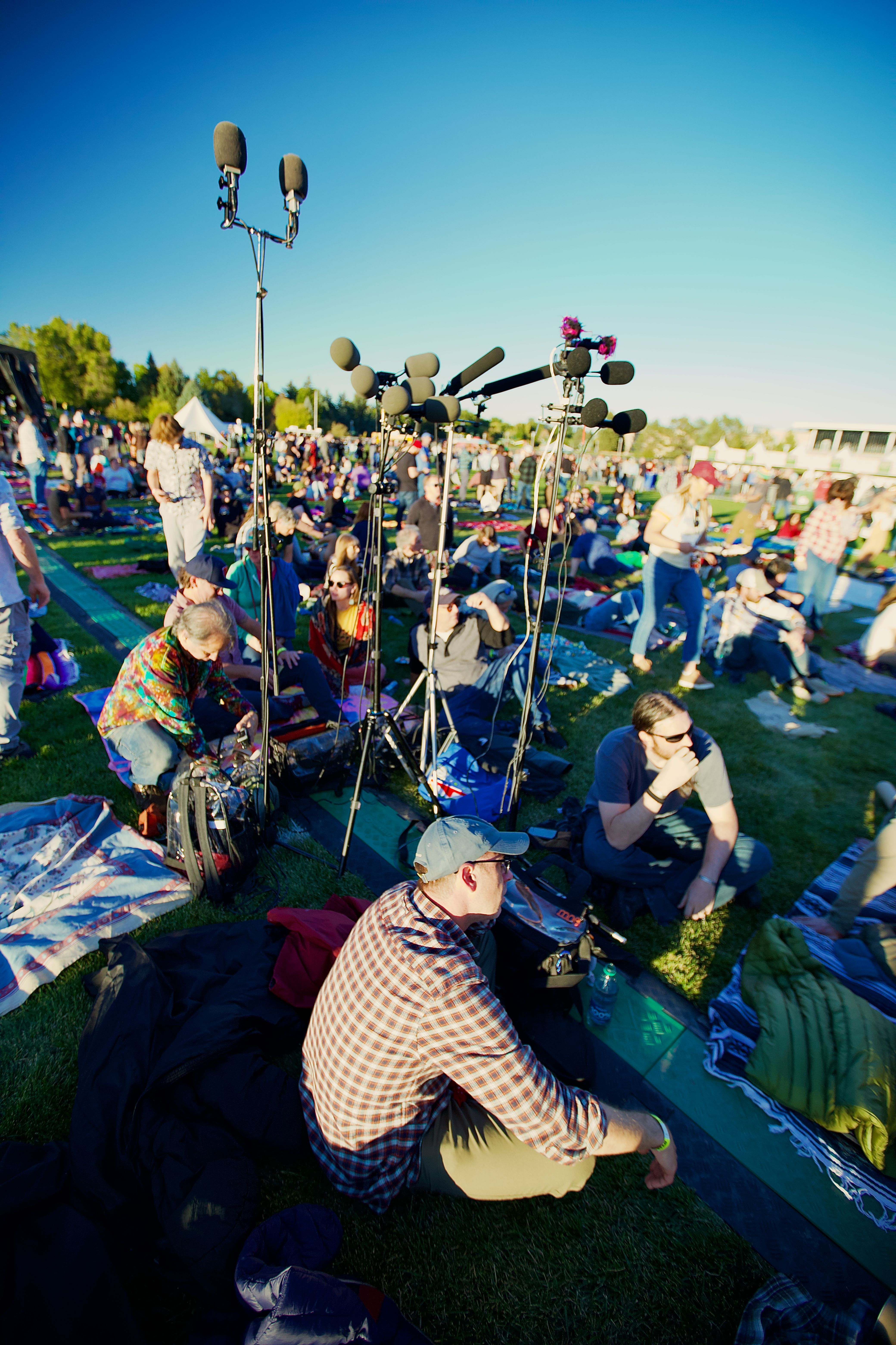 Goose tapers | Fort Collins, CO