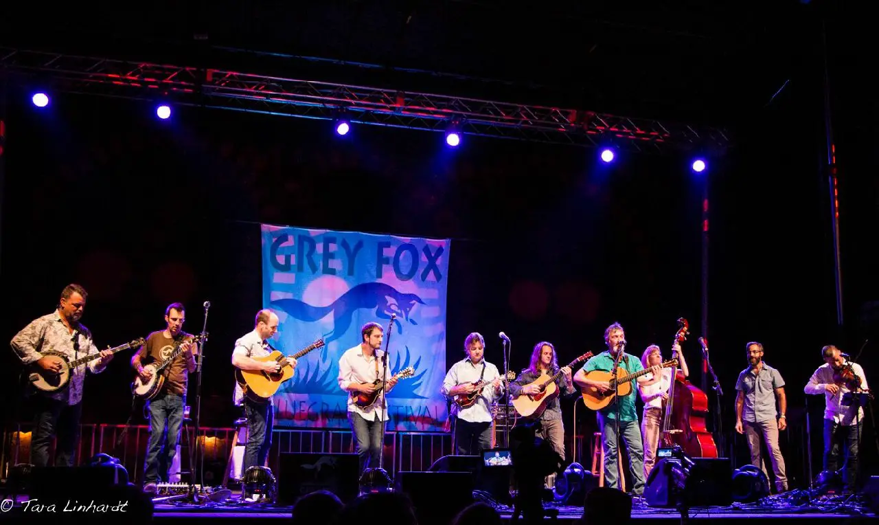 Grateful Ball | Grey Fox Bluegrass | photo by Tara Linhardt