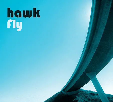 hawk: Fly