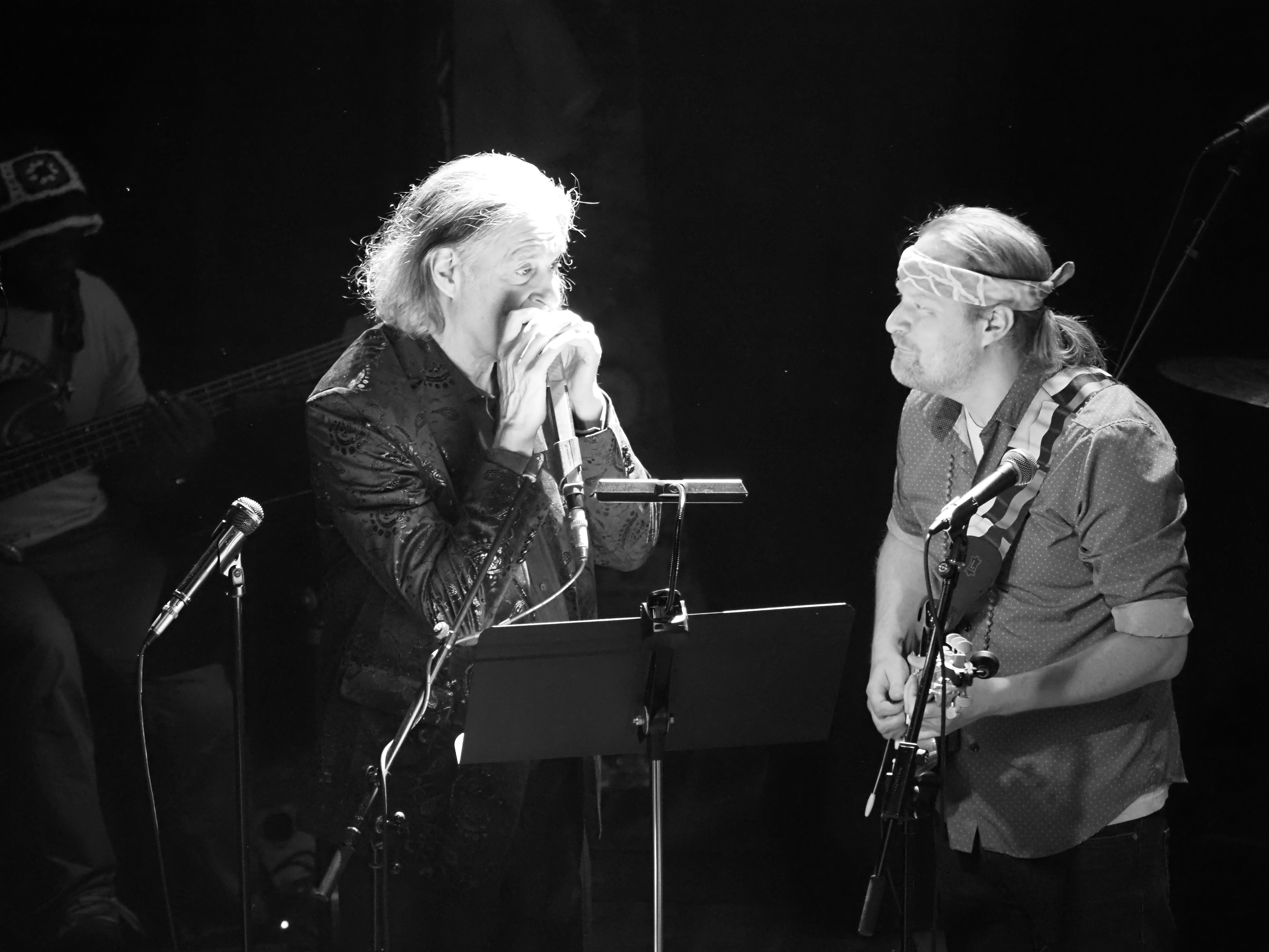 Howard Levy and Joe