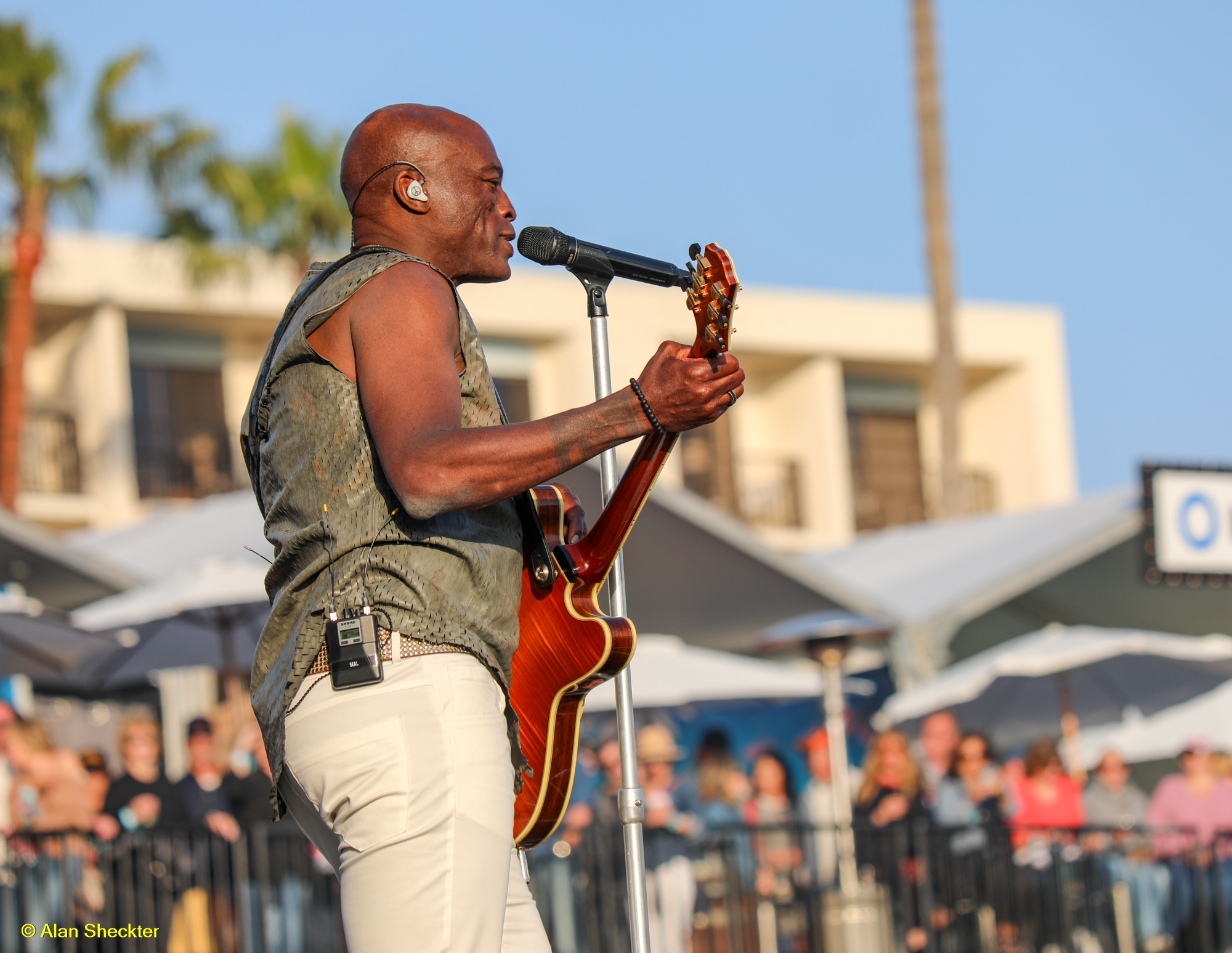 Seal | Redondo Beach, CA