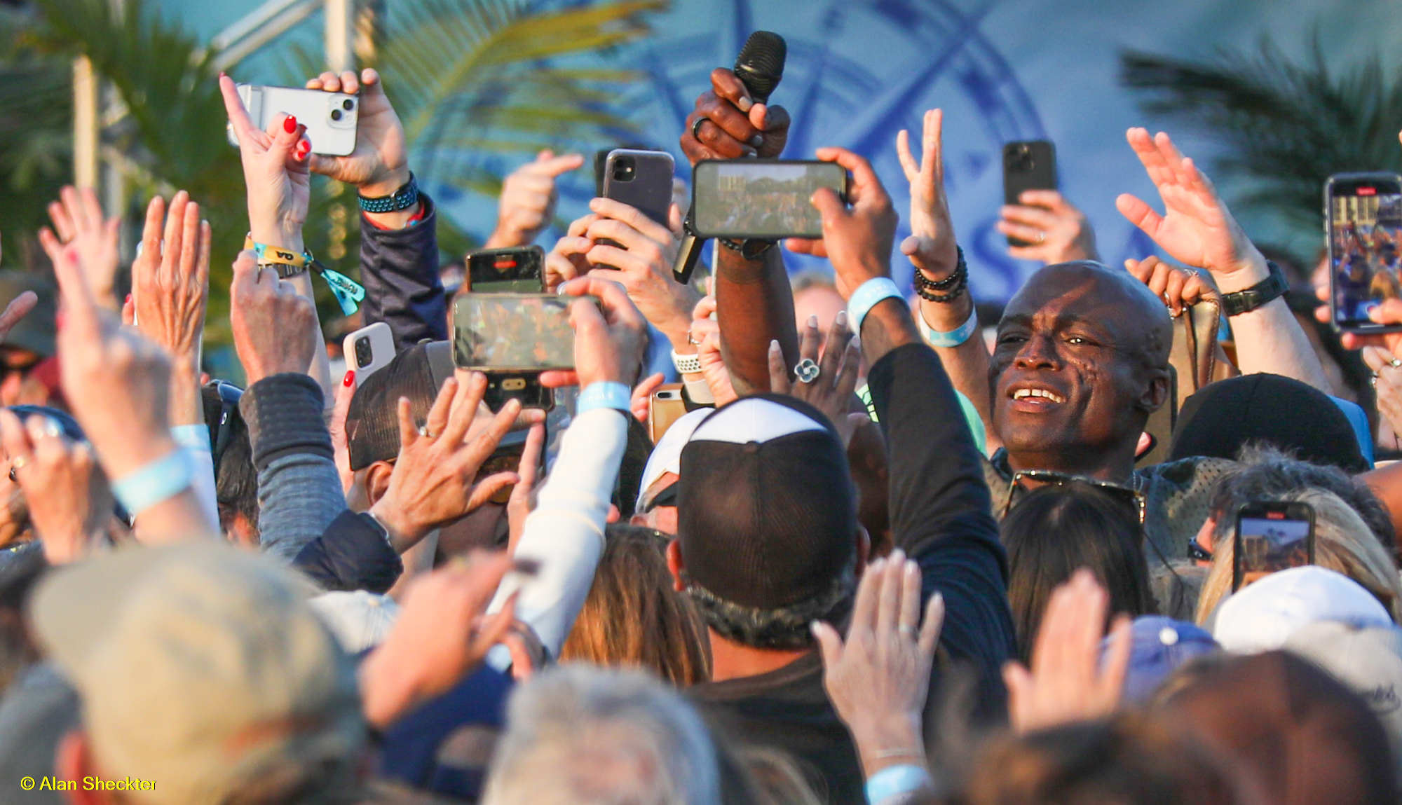 Seal in the crowd at BeachLife Festival