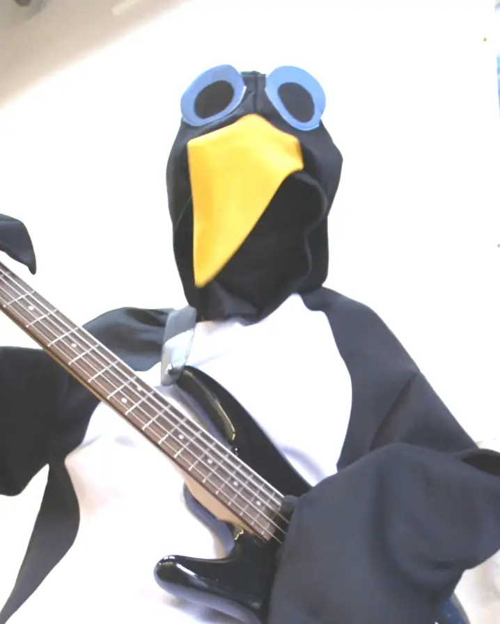 Penguin slapping the bass