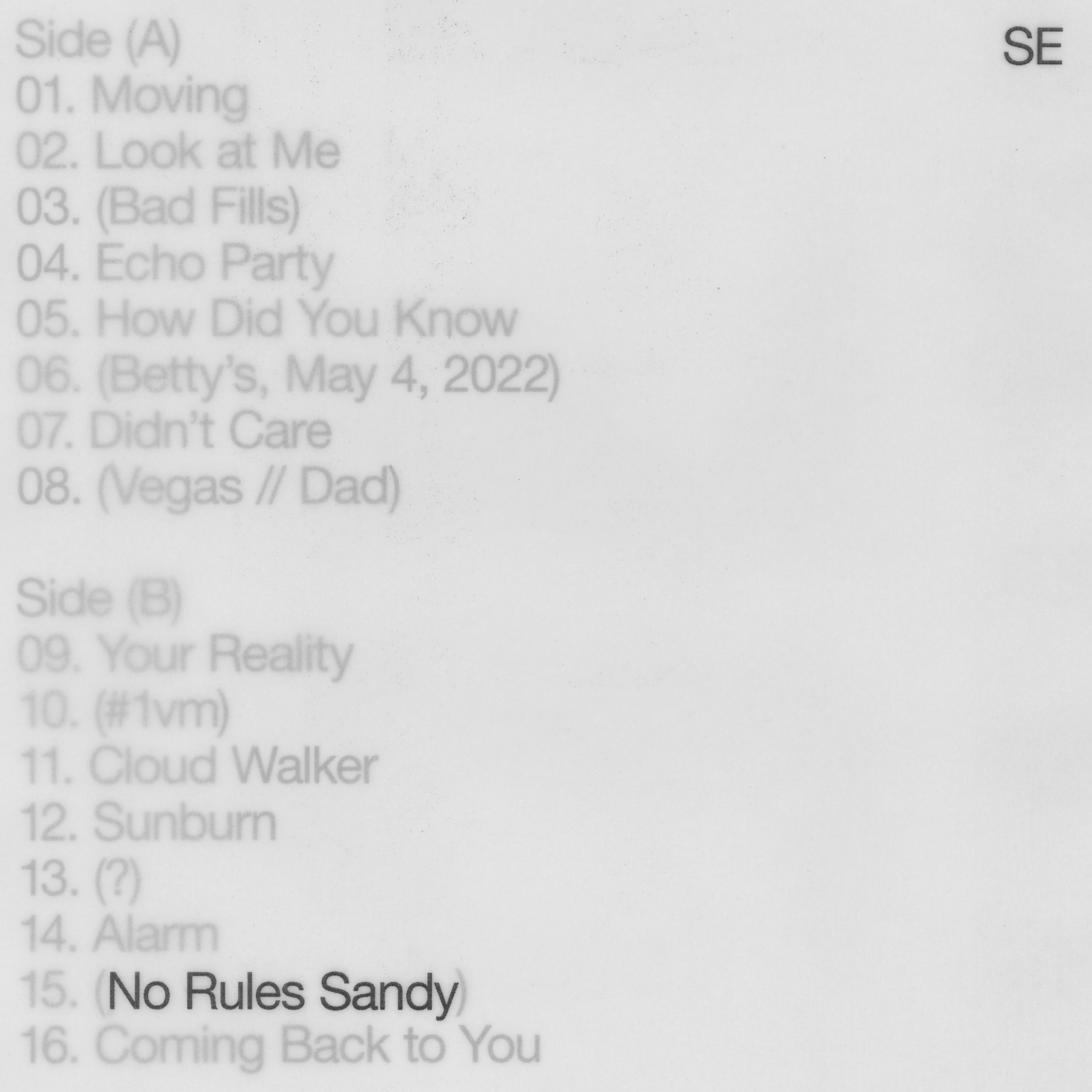No Rules Sandy Cover Art