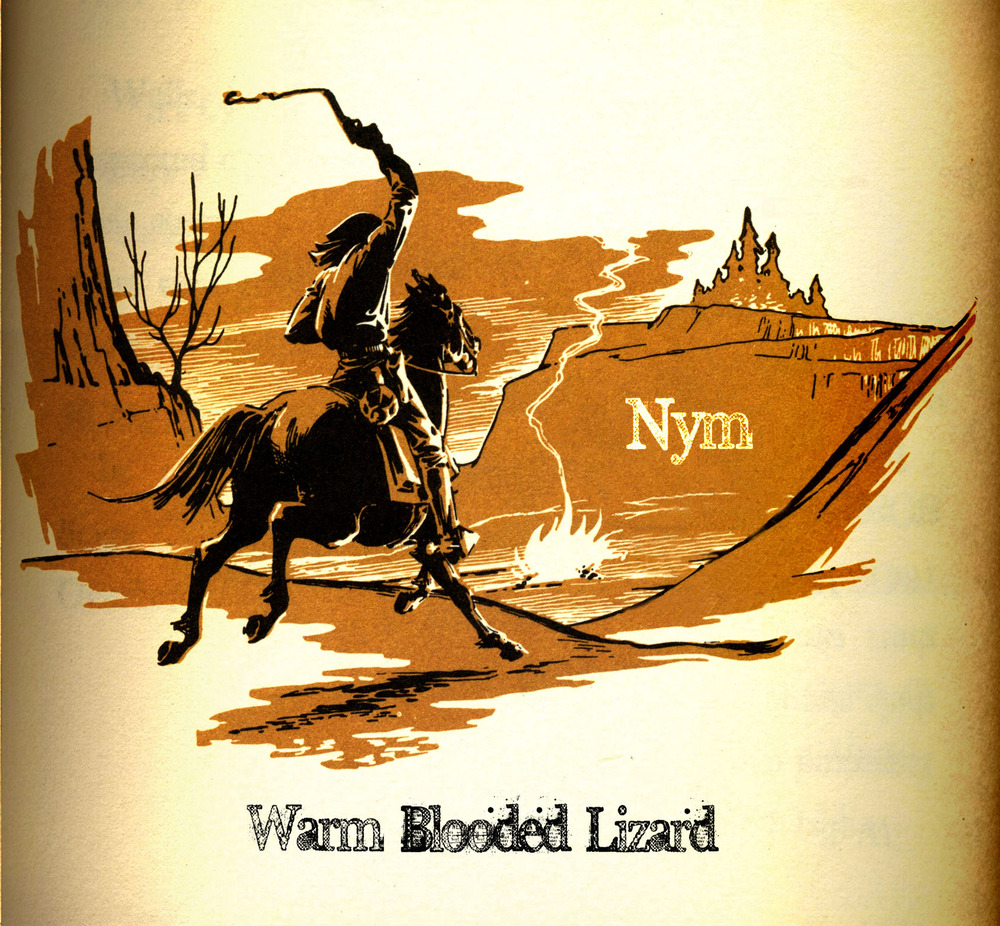 Nym Warm Blooded Lizard Album Review W Interview Grateful Web Nym Warm Blooded Lizard Album Review W Interview Grateful Web