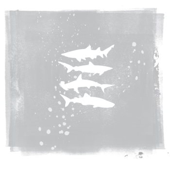 My Brightest Diamond: Shark Remixes | Review