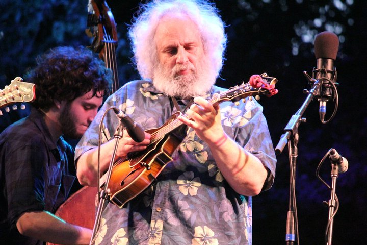 You Don't Have to be Sly to Enjoy The Grey Fox Music Festival!