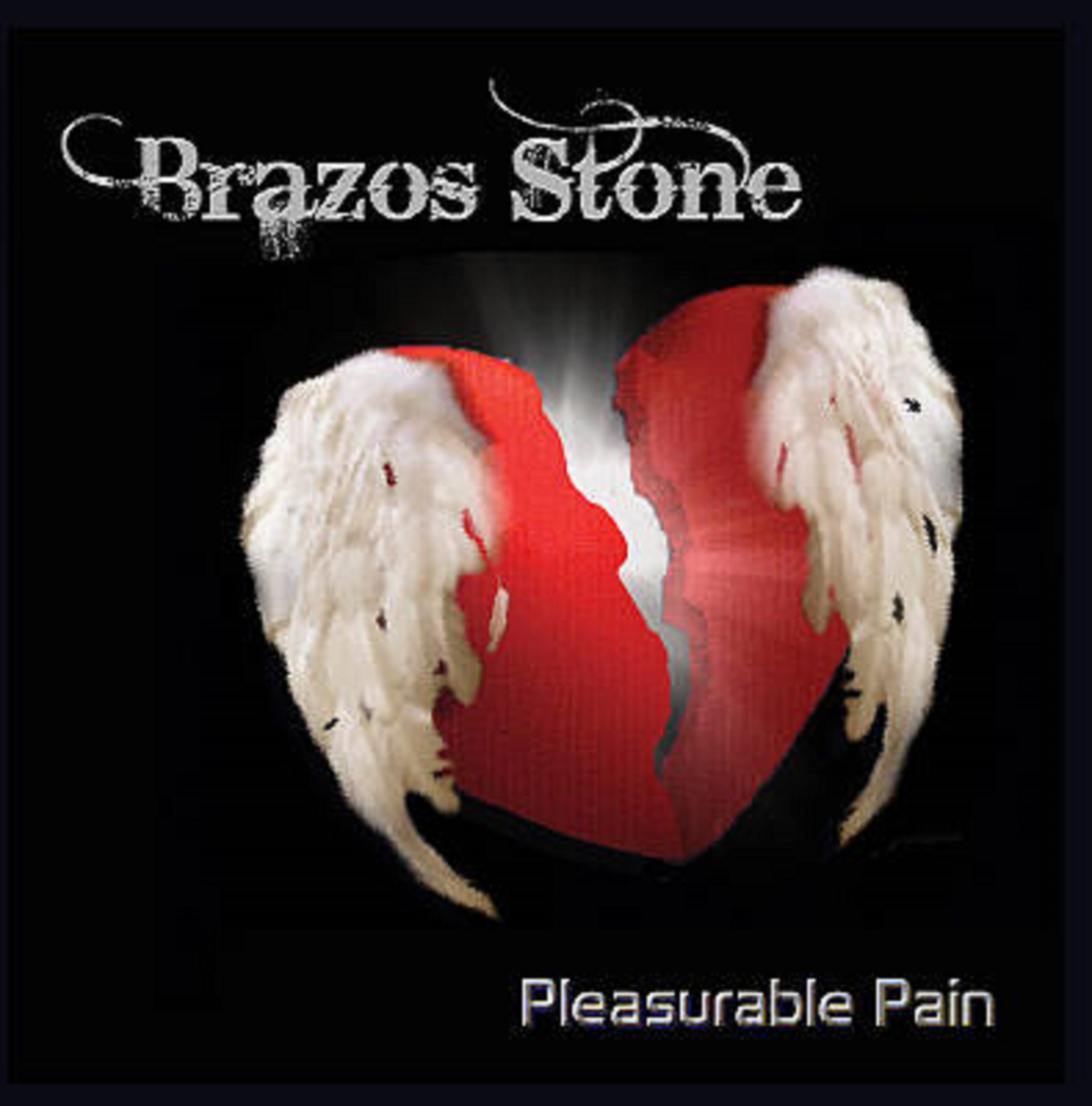 Brazos Stone | Pleasurable Pain | Review