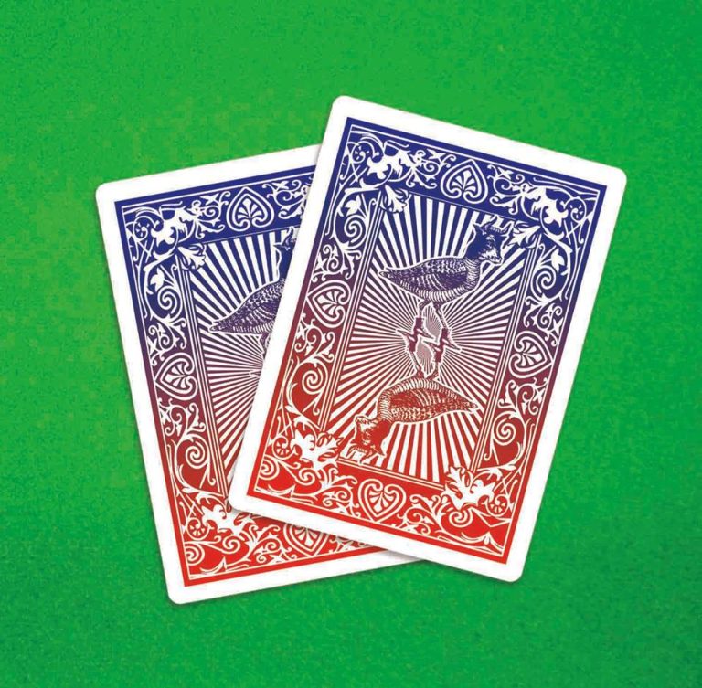 The Heavy Pets Release New EP, Rags and Aces