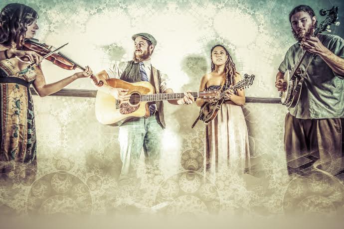 Grateful Web Interview with Under the Willow