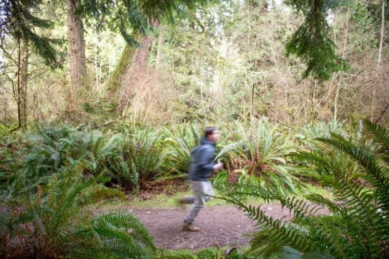 Eliot Lipp Announces New Album